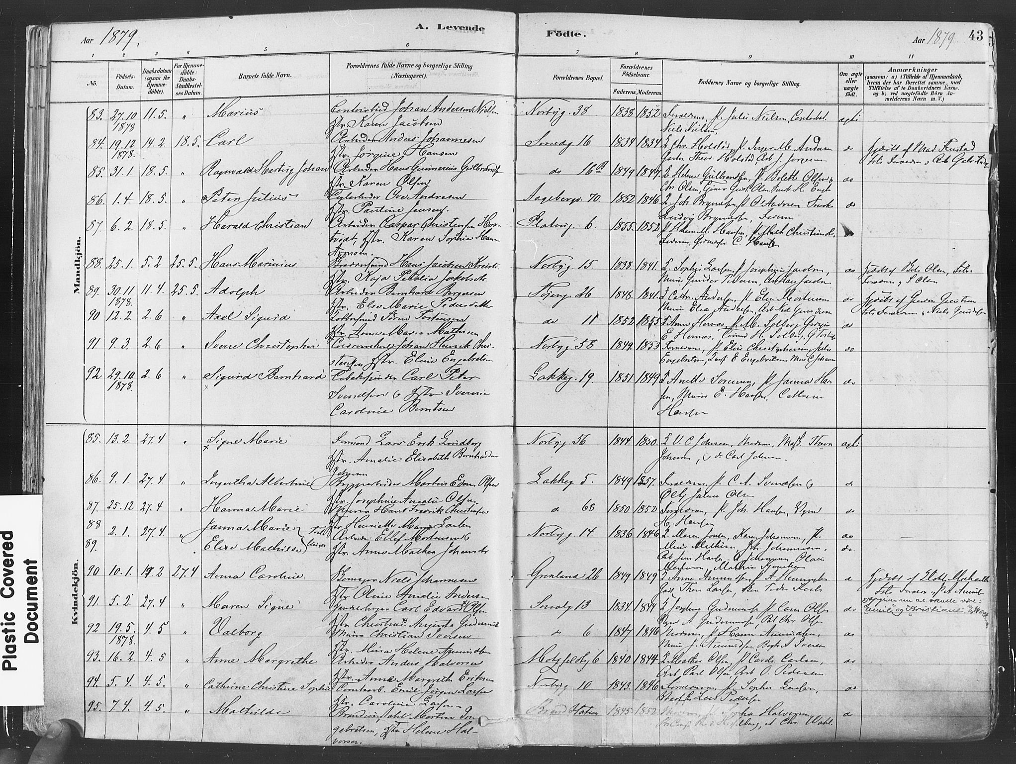 Grønland prestekontor Kirkebøker, SAO/A-10848/F/Fa/L0007: Parish register (official) no. 7, 1878-1888, p. 43
