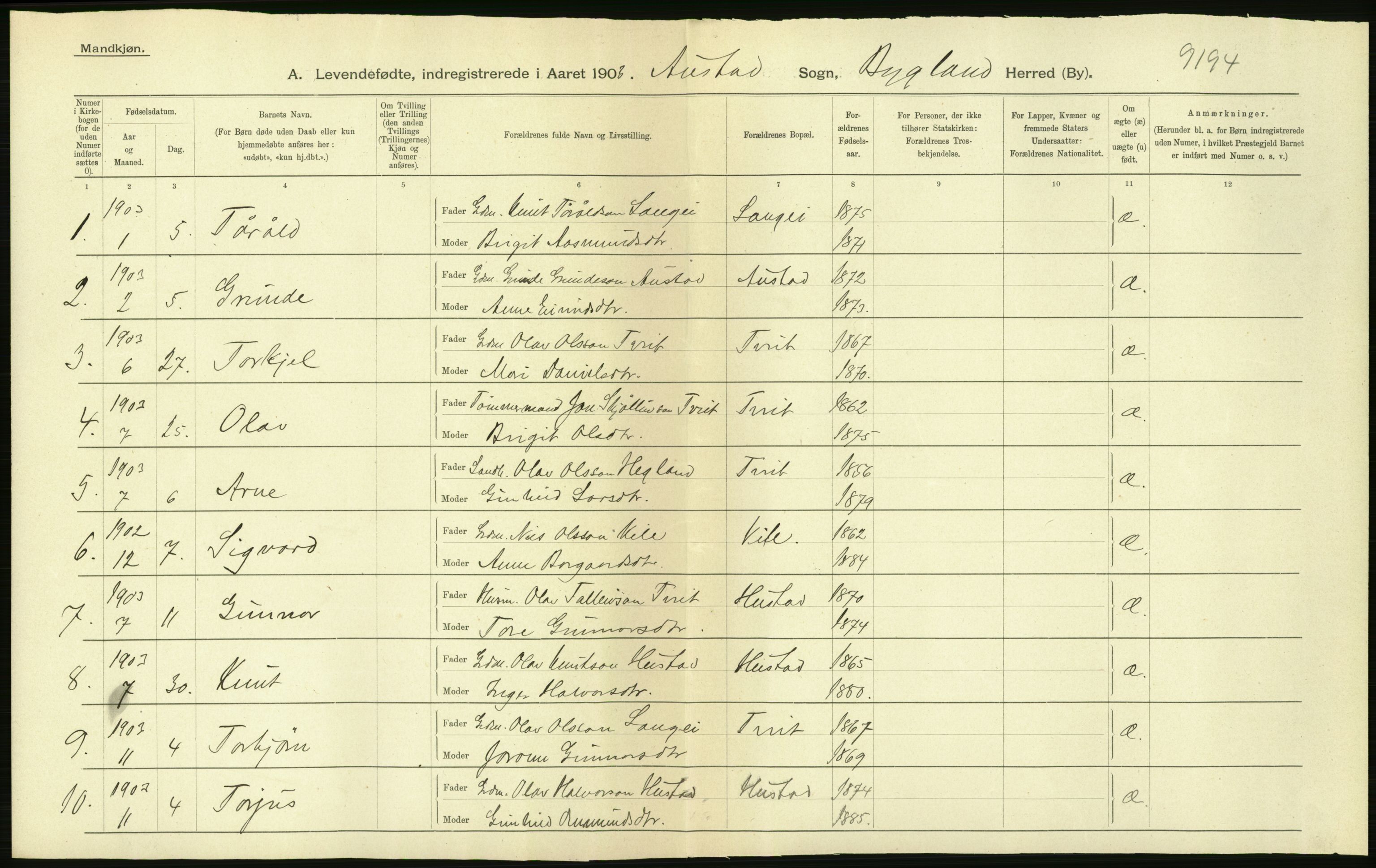 Statistisk sentralbyrå, Sosiodemografiske emner, Befolkning, AV/RA-S-2228/D/Df/Dfa/Dfaa/L0010: Nedenes amt: Fødte, gifte, døde, 1903, p. 80