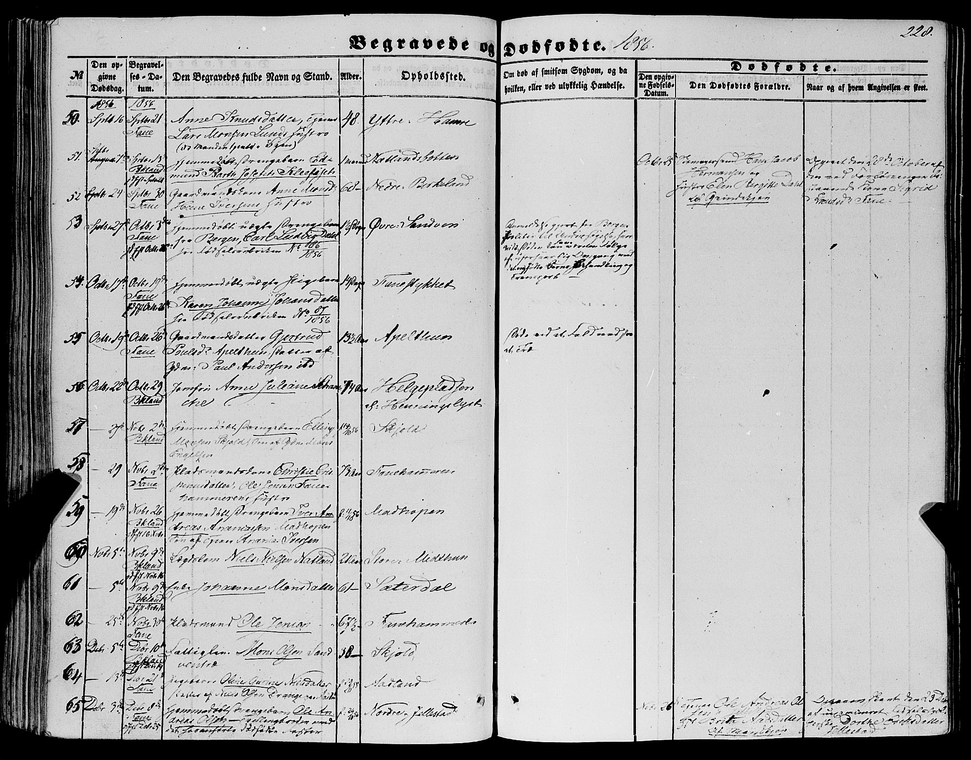 Fana Sokneprestembete, SAB/A-75101/H/Haa/Haaa/L0011: Parish register (official) no. A 11, 1851-1862, p. 228