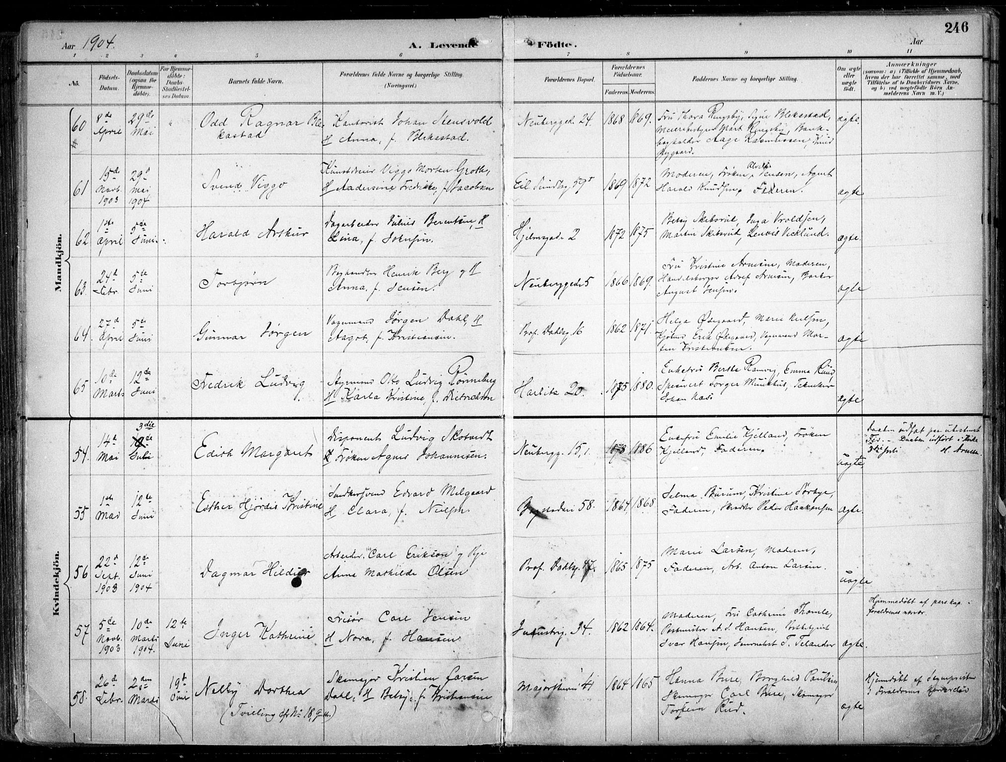 Uranienborg prestekontor Kirkebøker, AV/SAO-A-10877/F/Fa/L0005: Parish register (official) no. 5, 1895-1907, p. 246