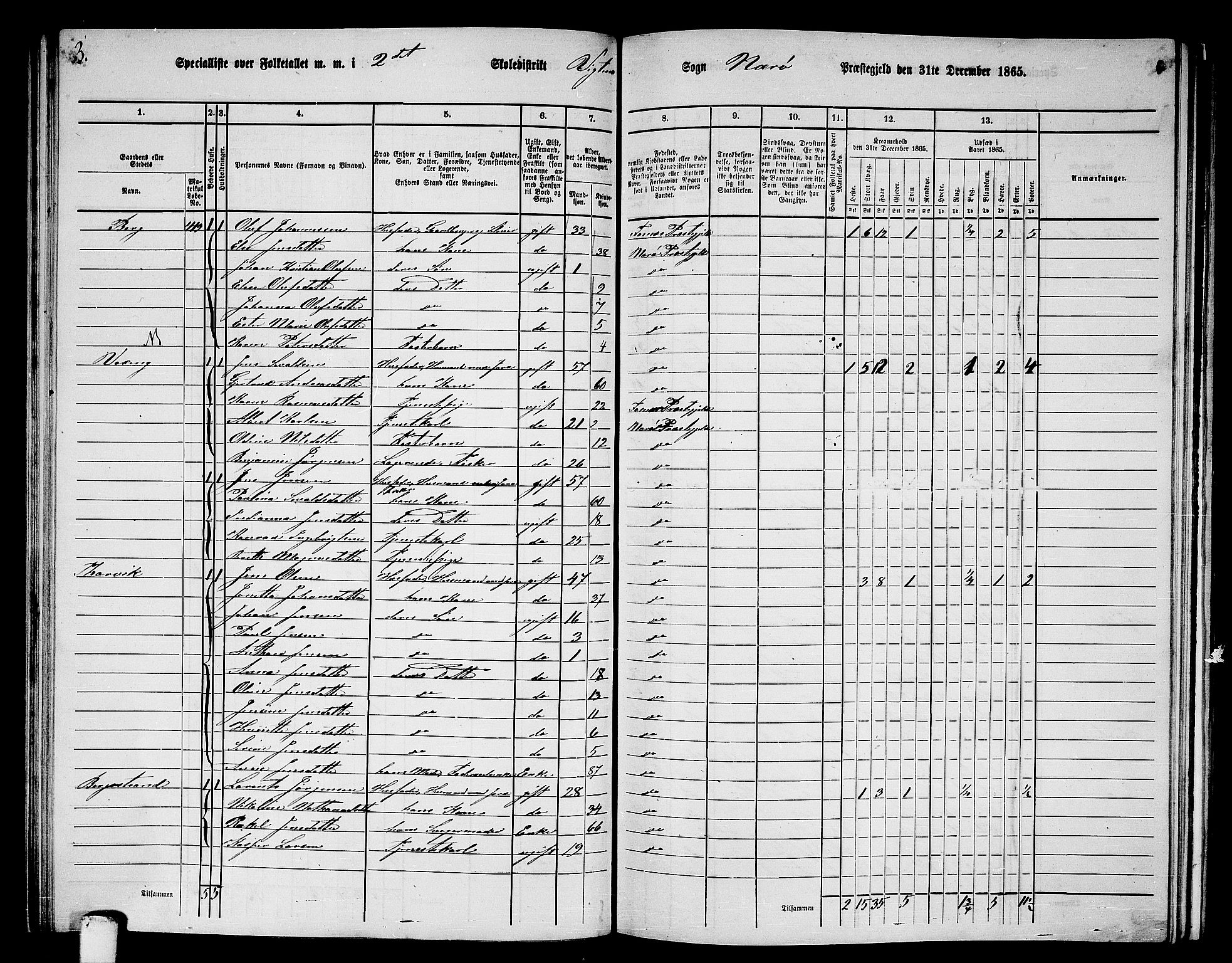 RA, 1865 census for Nærøy, 1865, p. 105