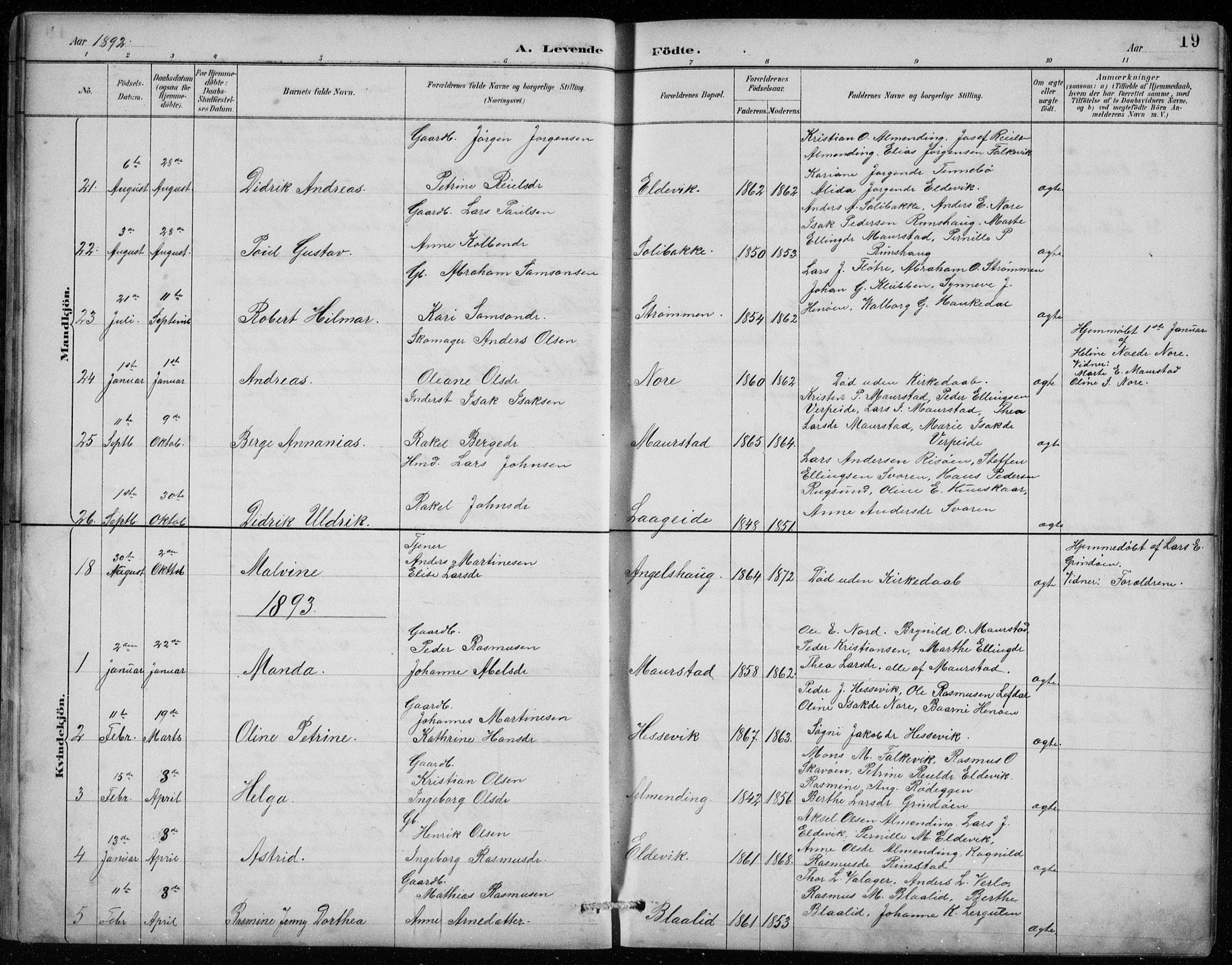 Davik sokneprestembete, AV/SAB-A-79701/H/Hab/Habc/L0002: Parish register (copy) no. C 2, 1889-1906, p. 19