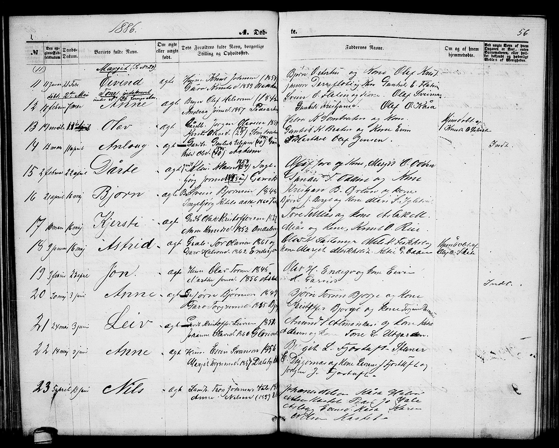 Seljord kirkebøker, AV/SAKO-A-20/G/Ga/L0004: Parish register (copy) no. I 4, 1873-1886, p. 56