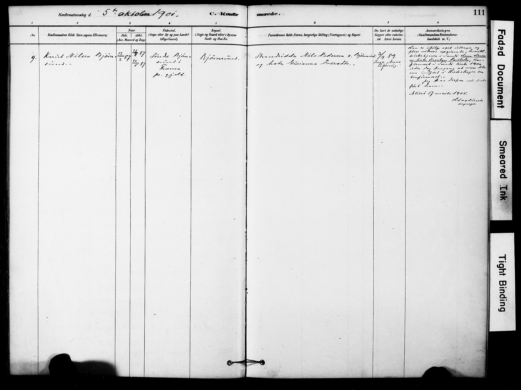 Ministerialprotokoller, klokkerbøker og fødselsregistre - Møre og Romsdal, AV/SAT-A-1454/561/L0729: Parish register (official) no. 561A03, 1878-1900, p. 111