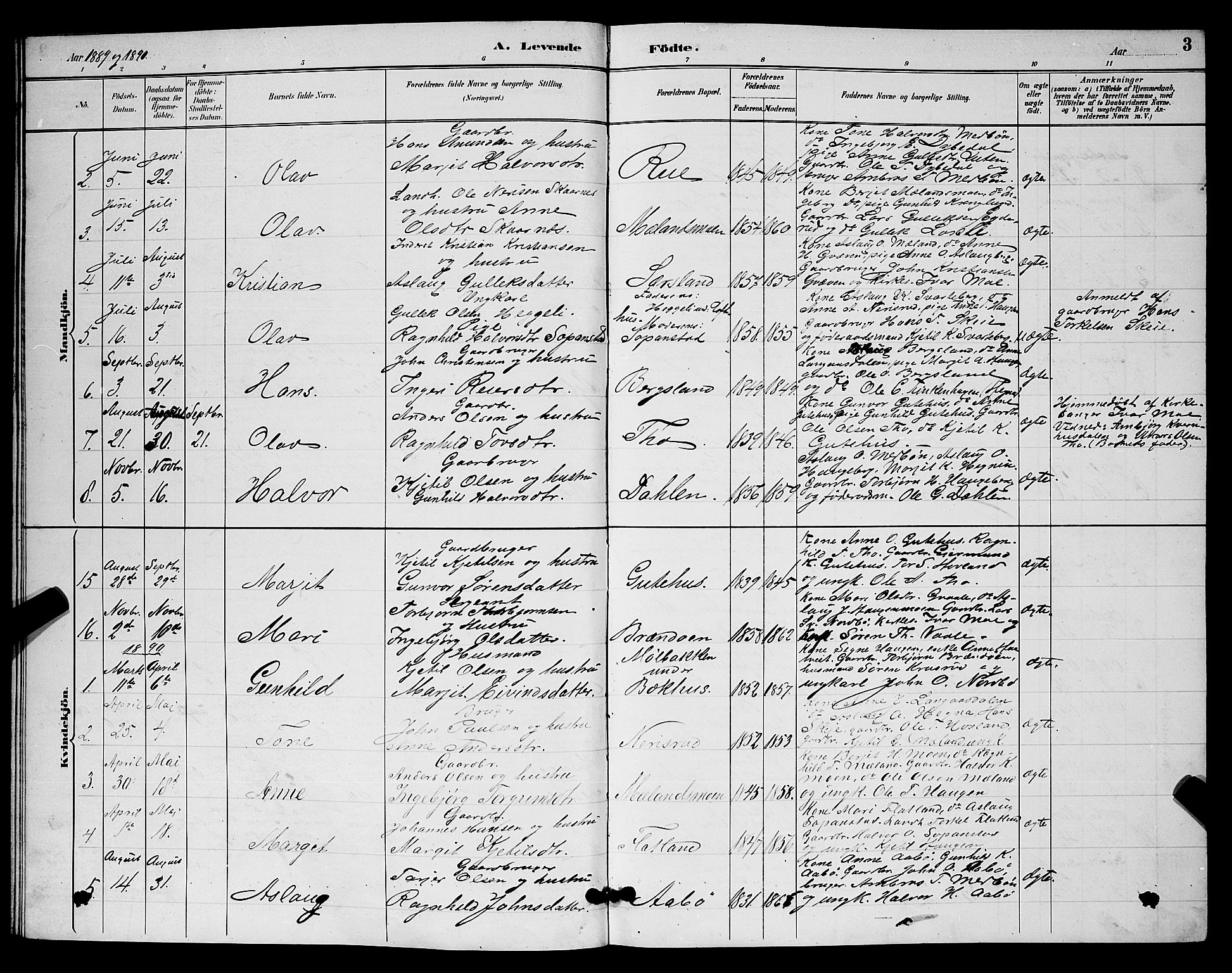 Hjartdal kirkebøker, SAKO/A-270/G/Ga/L0003: Parish register (copy) no. I 3, 1889-1896, p. 3
