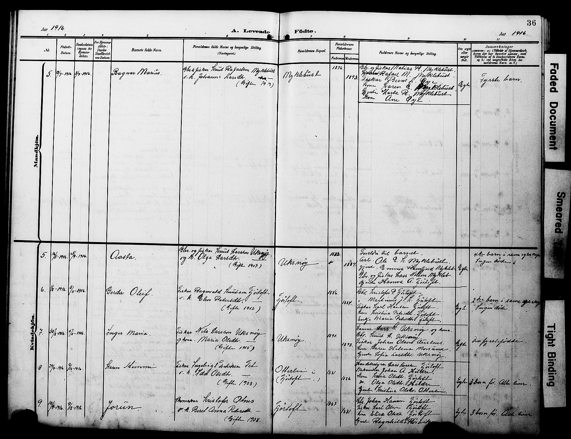 Ministerialprotokoller, klokkerbøker og fødselsregistre - Møre og Romsdal, AV/SAT-A-1454/538/L0524: Parish register (copy) no. 538C02, 1901-1931, p. 36