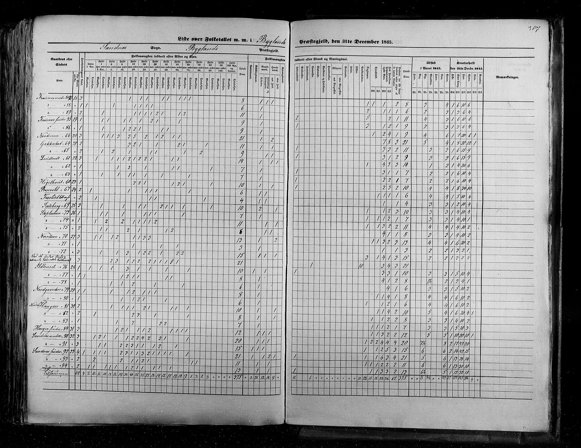 RA, Census 1845, vol. 5: Bratsberg amt og Nedenes og Råbyggelaget amt, 1845, p. 387