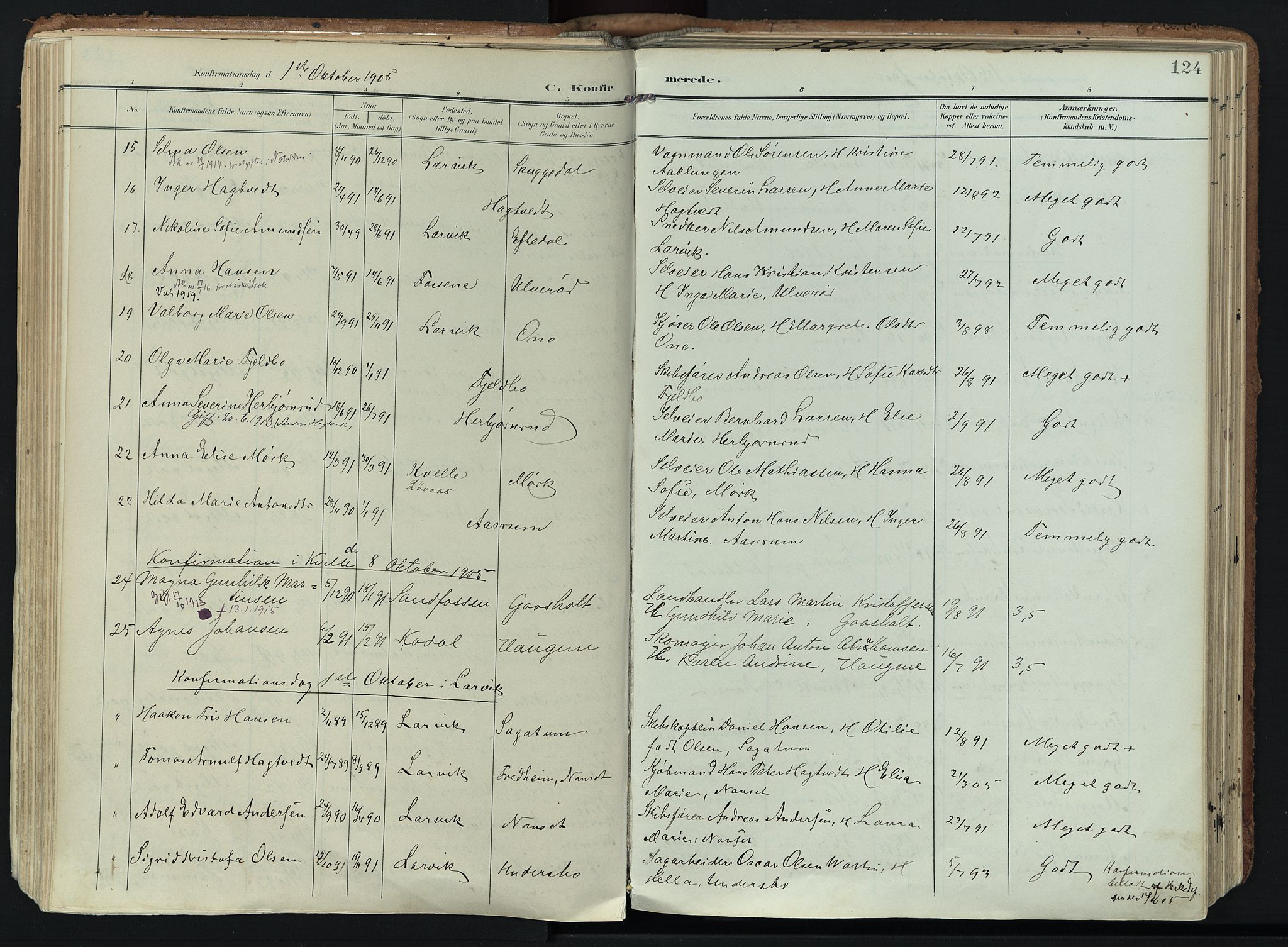 Hedrum kirkebøker, SAKO/A-344/F/Fa/L0010: Parish register (official) no. I 10, 1904-1918, p. 124