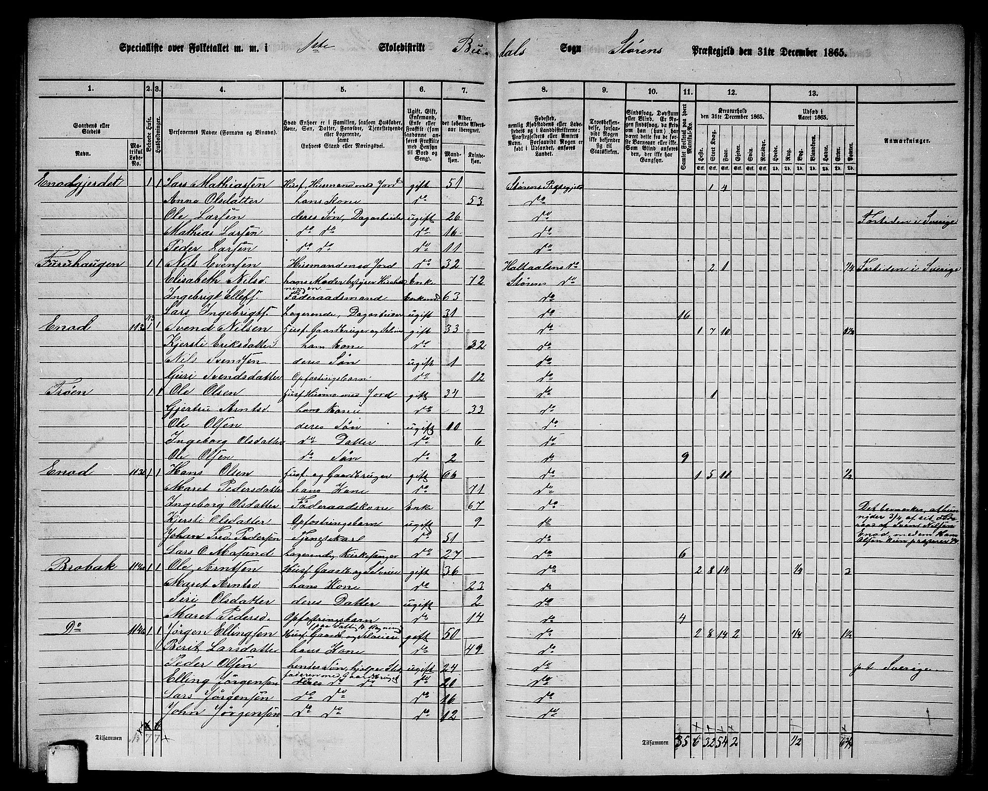 RA, 1865 census for Støren, 1865, p. 302