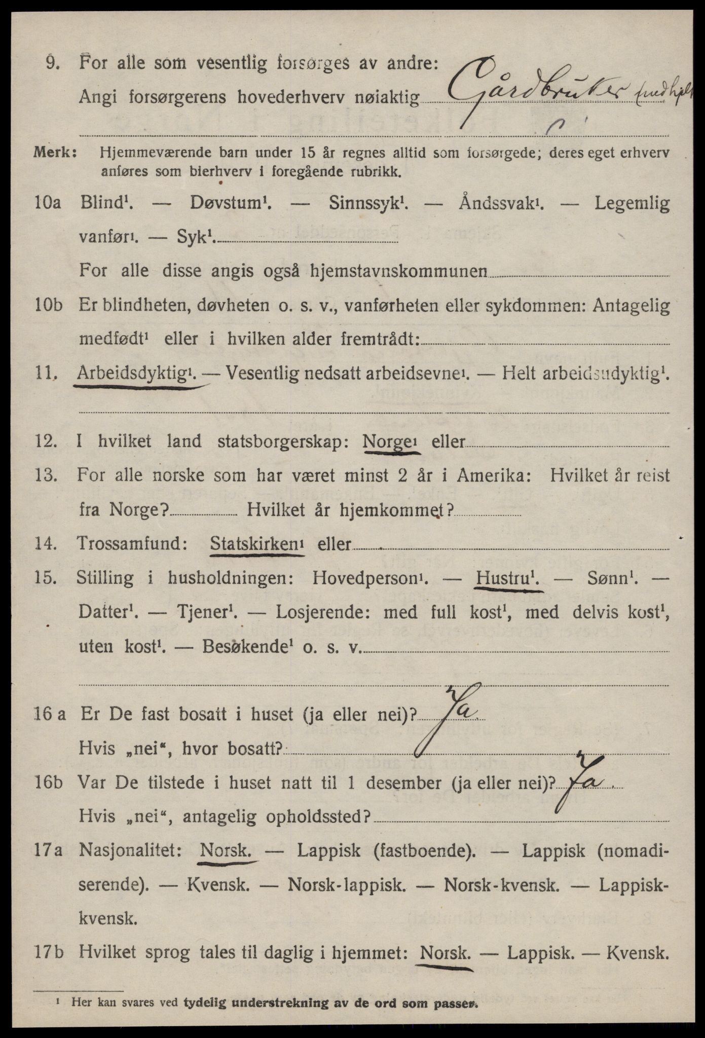 SAT, 1920 census for Selbu, 1920, p. 4431