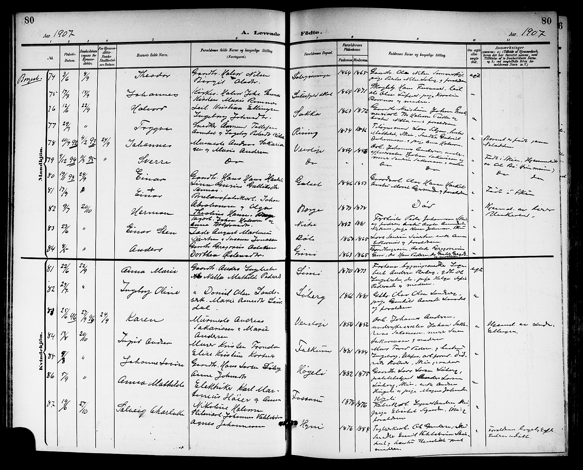 Gjerpen kirkebøker, SAKO/A-265/G/Ga/L0003: Parish register (copy) no. I 3, 1901-1919, p. 80
