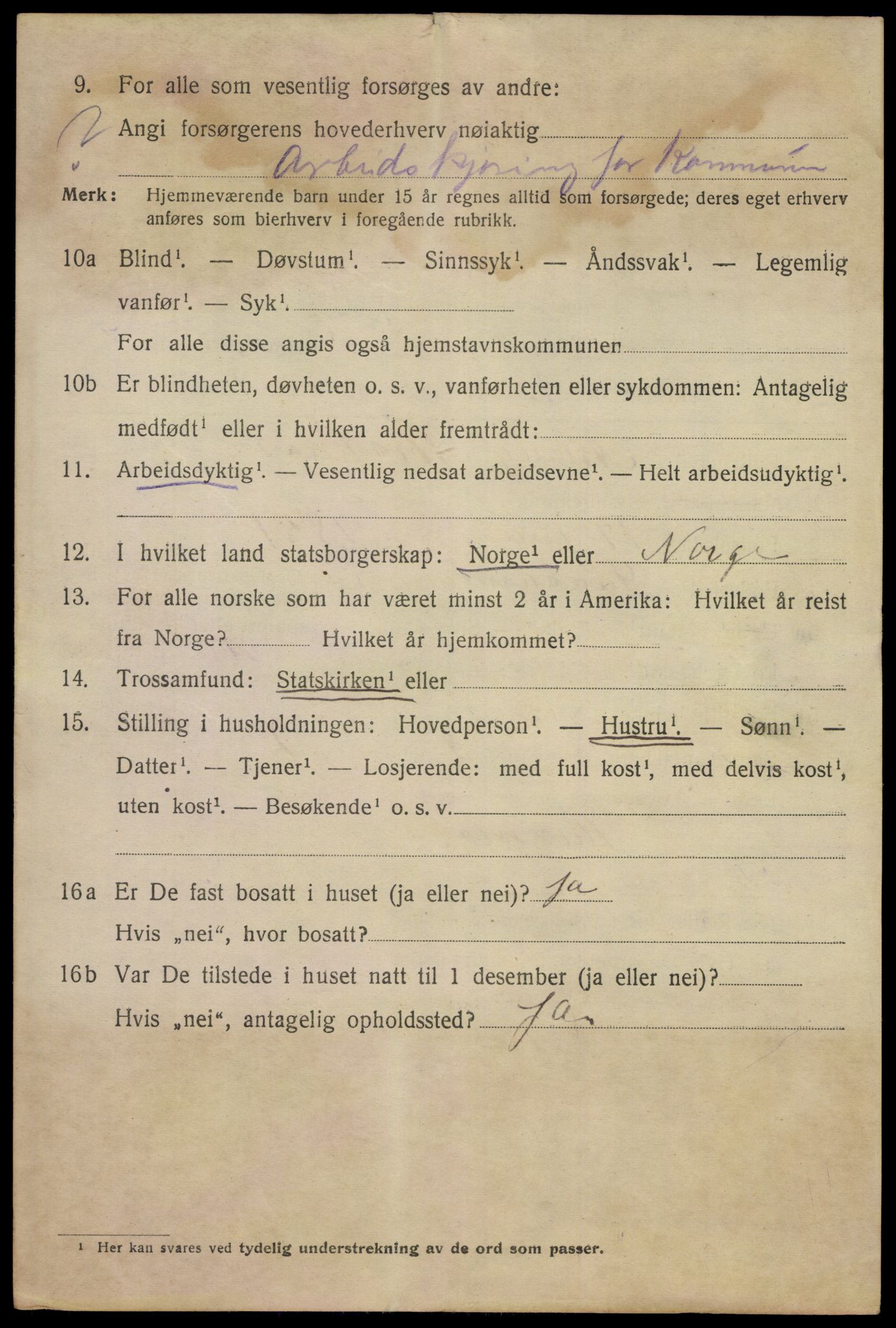 SAKO, 1920 census for Notodden, 1920, p. 9819