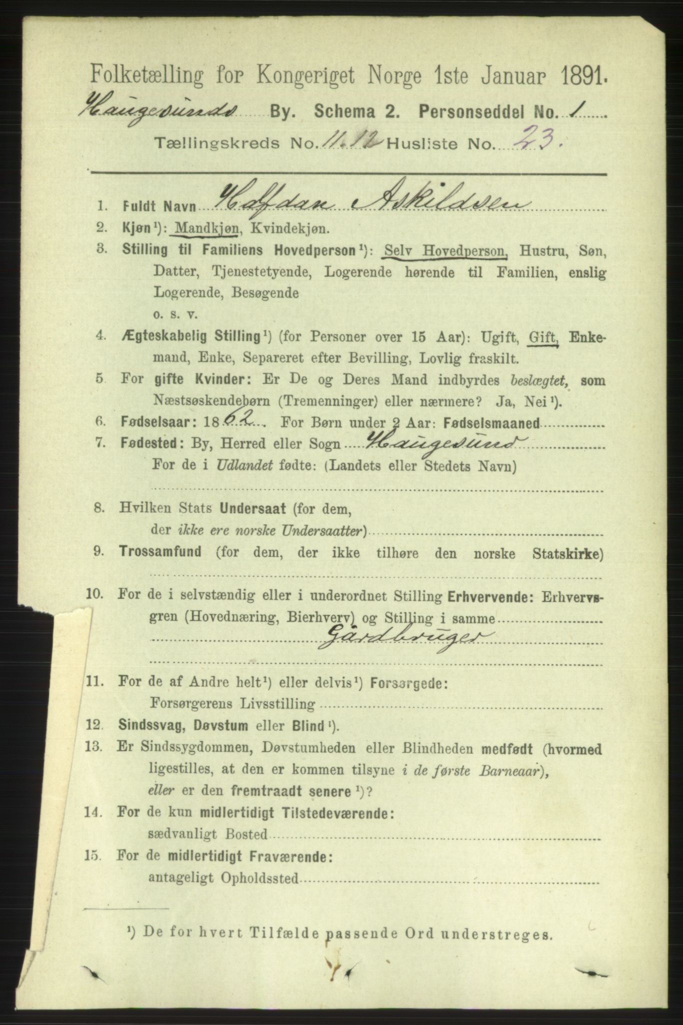 RA, 1891 census for 1106 Haugesund, 1891, p. 4236