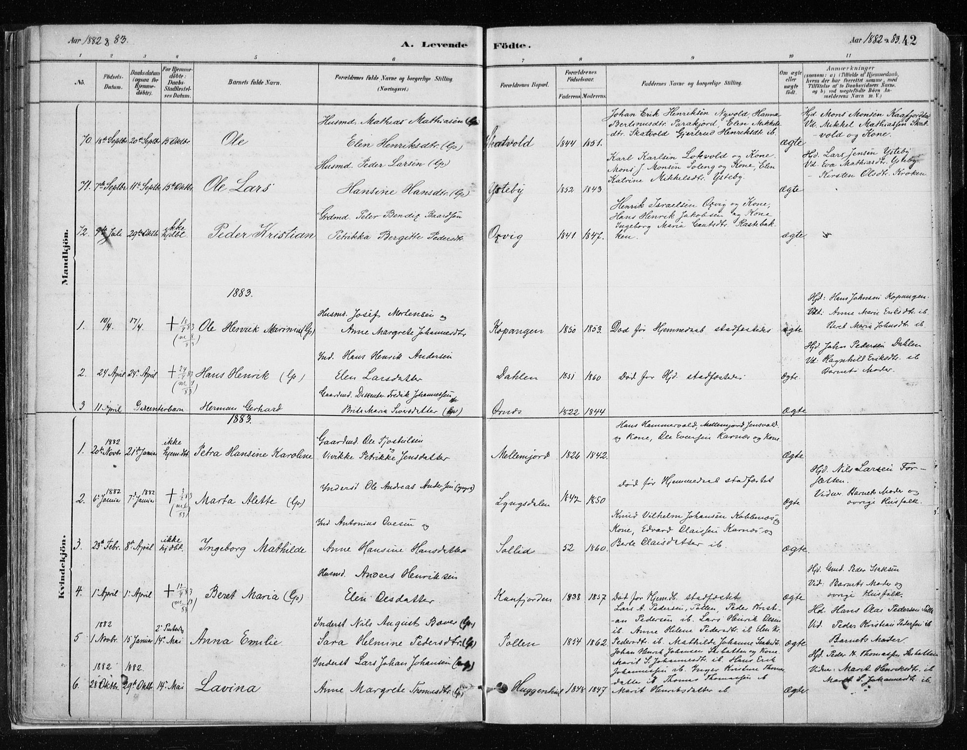 Lyngen sokneprestembete, SATØ/S-1289/H/He/Hea/L0007kirke: Parish register (official) no. 7, 1879-1890, p. 42