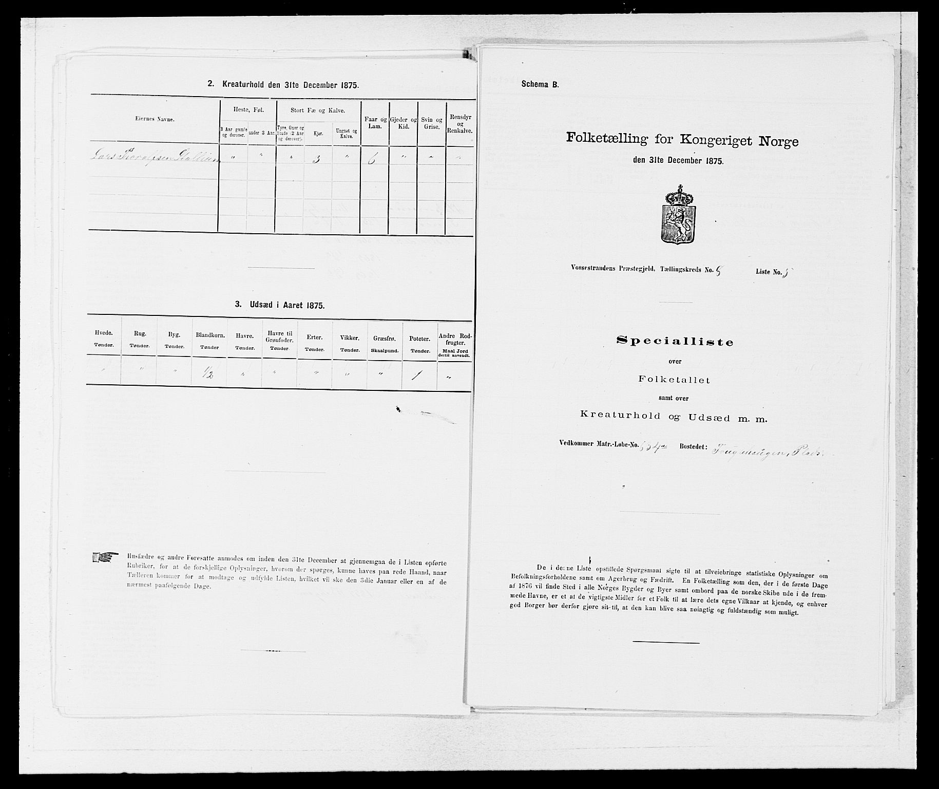 SAB, 1875 census for 1236P Vossestrand, 1875, p. 607