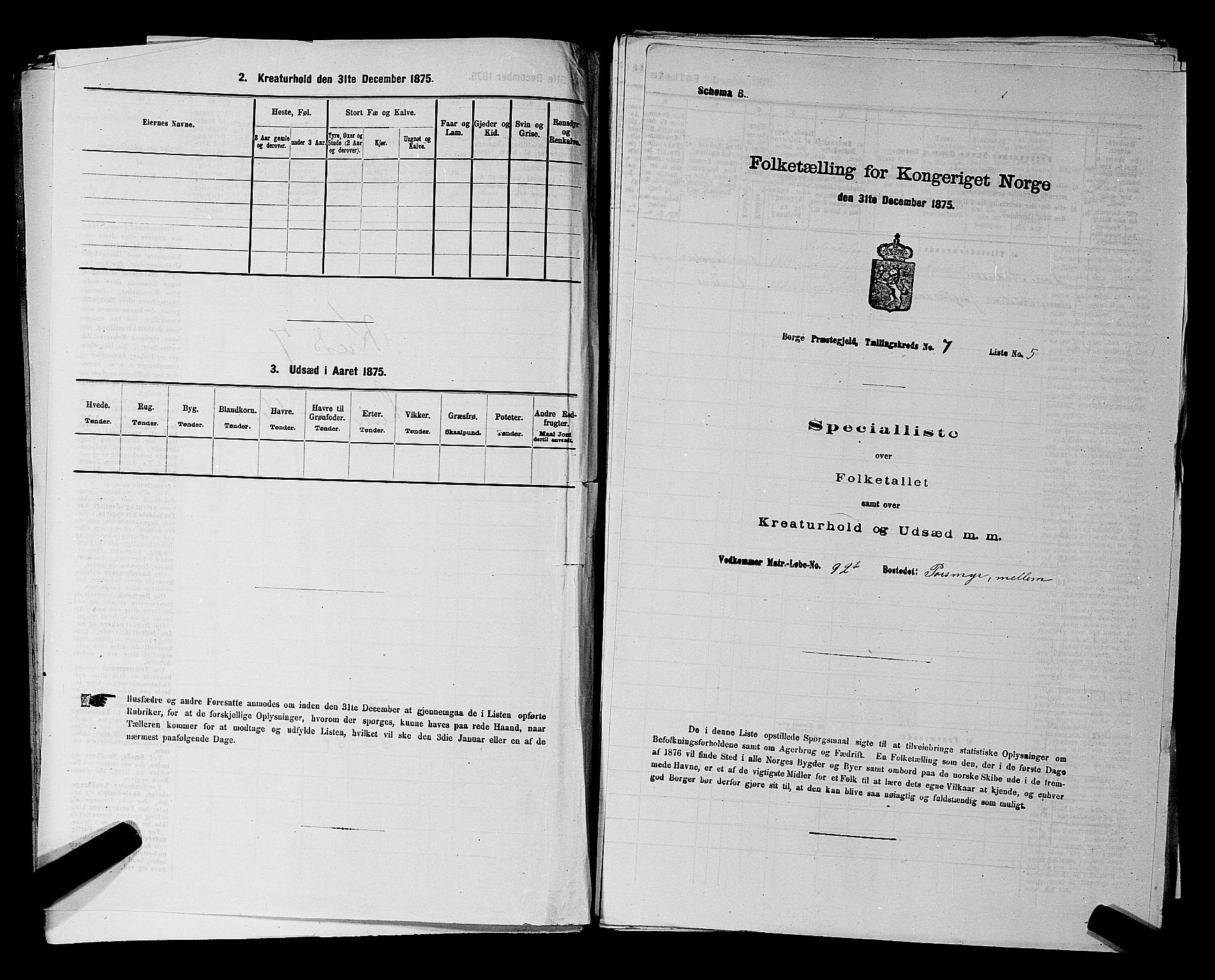 RA, 1875 census for 0113P Borge, 1875, p. 962