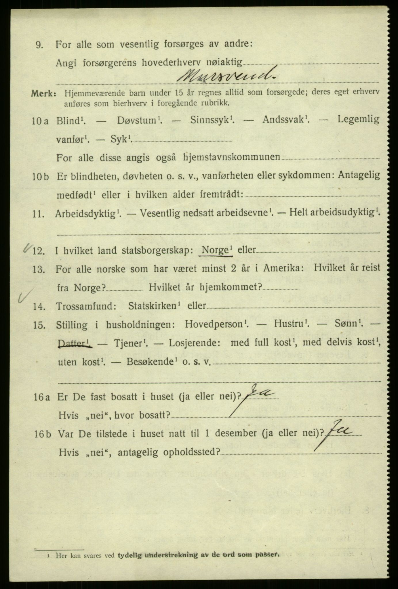 SAB, 1920 census for Bergen, 1920, p. 141031