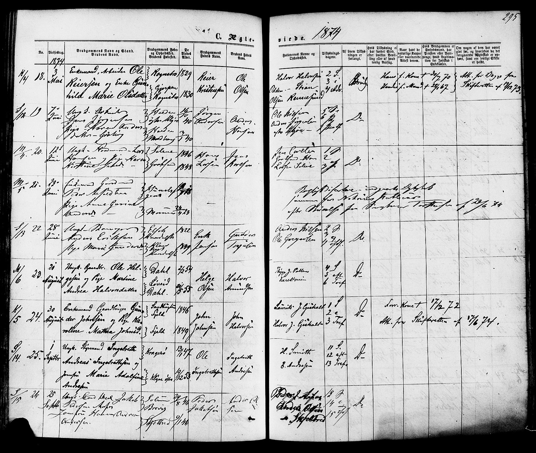 Solum kirkebøker, SAKO/A-306/F/Fa/L0008: Parish register (official) no. I 8, 1865-1876, p. 295