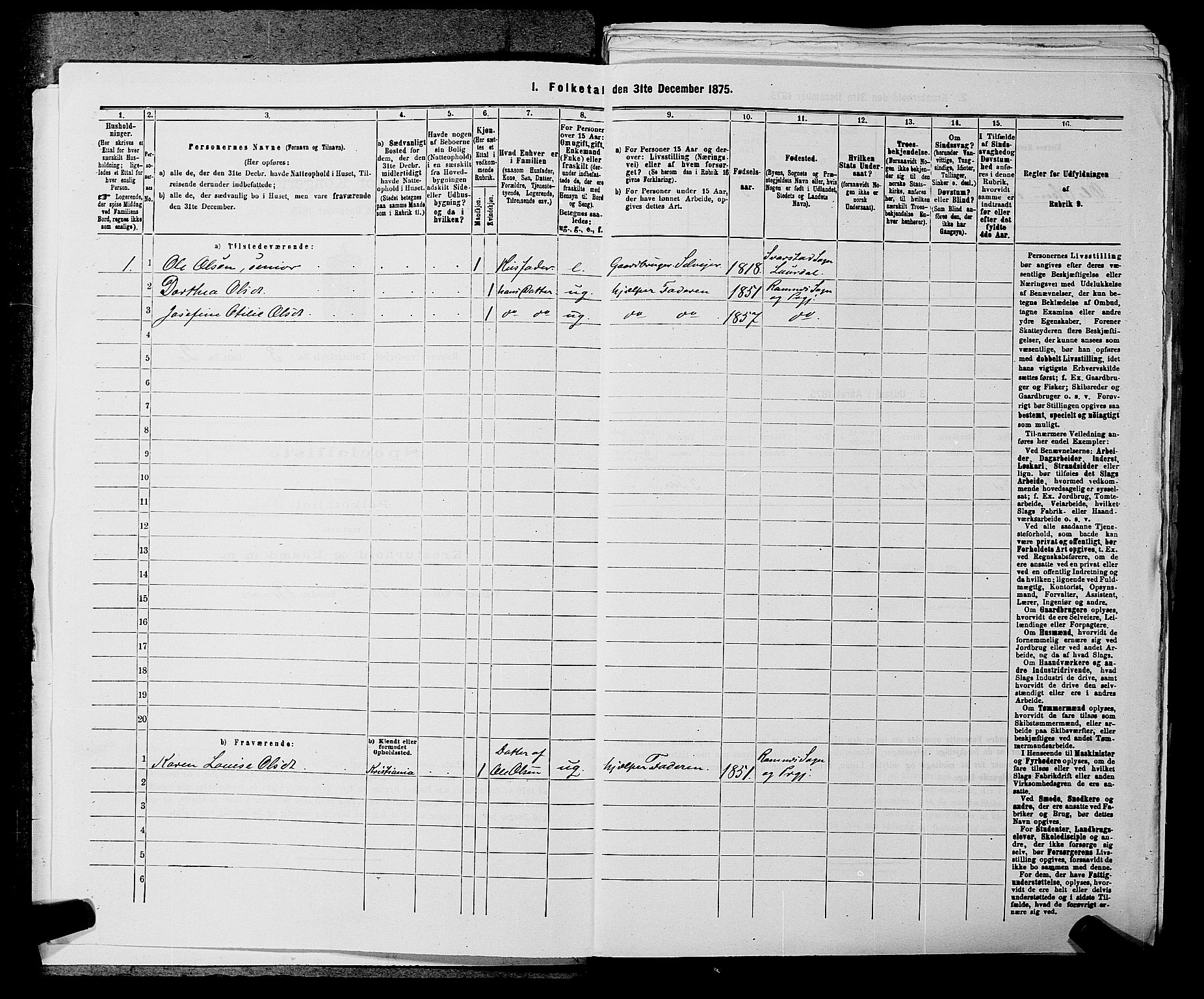 SAKO, 1875 census for 0718P Ramnes, 1875, p. 445