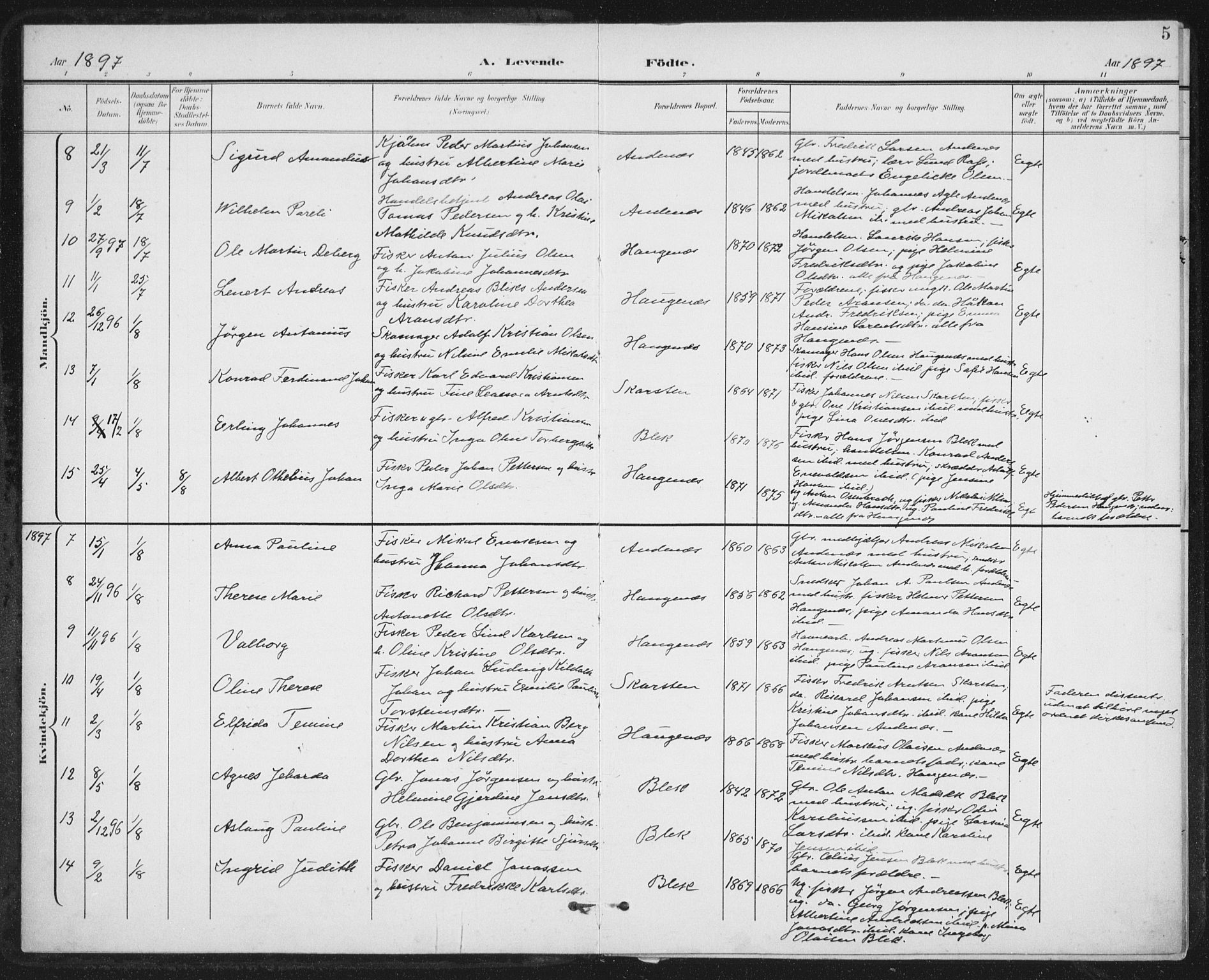 Ministerialprotokoller, klokkerbøker og fødselsregistre - Nordland, AV/SAT-A-1459/899/L1437: Parish register (official) no. 899A05, 1897-1908, p. 5