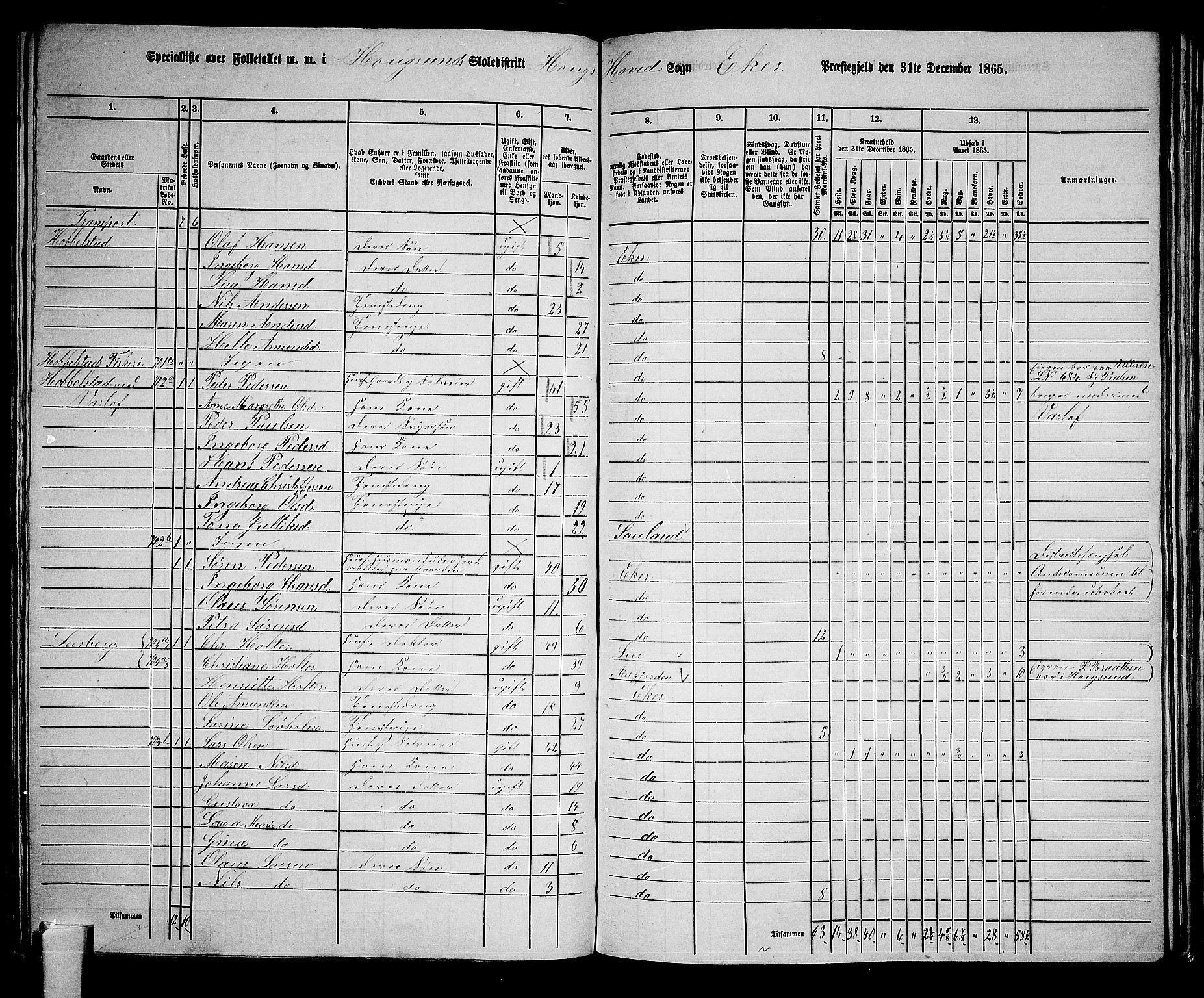 RA, 1865 census for Eiker, 1865, p. 154