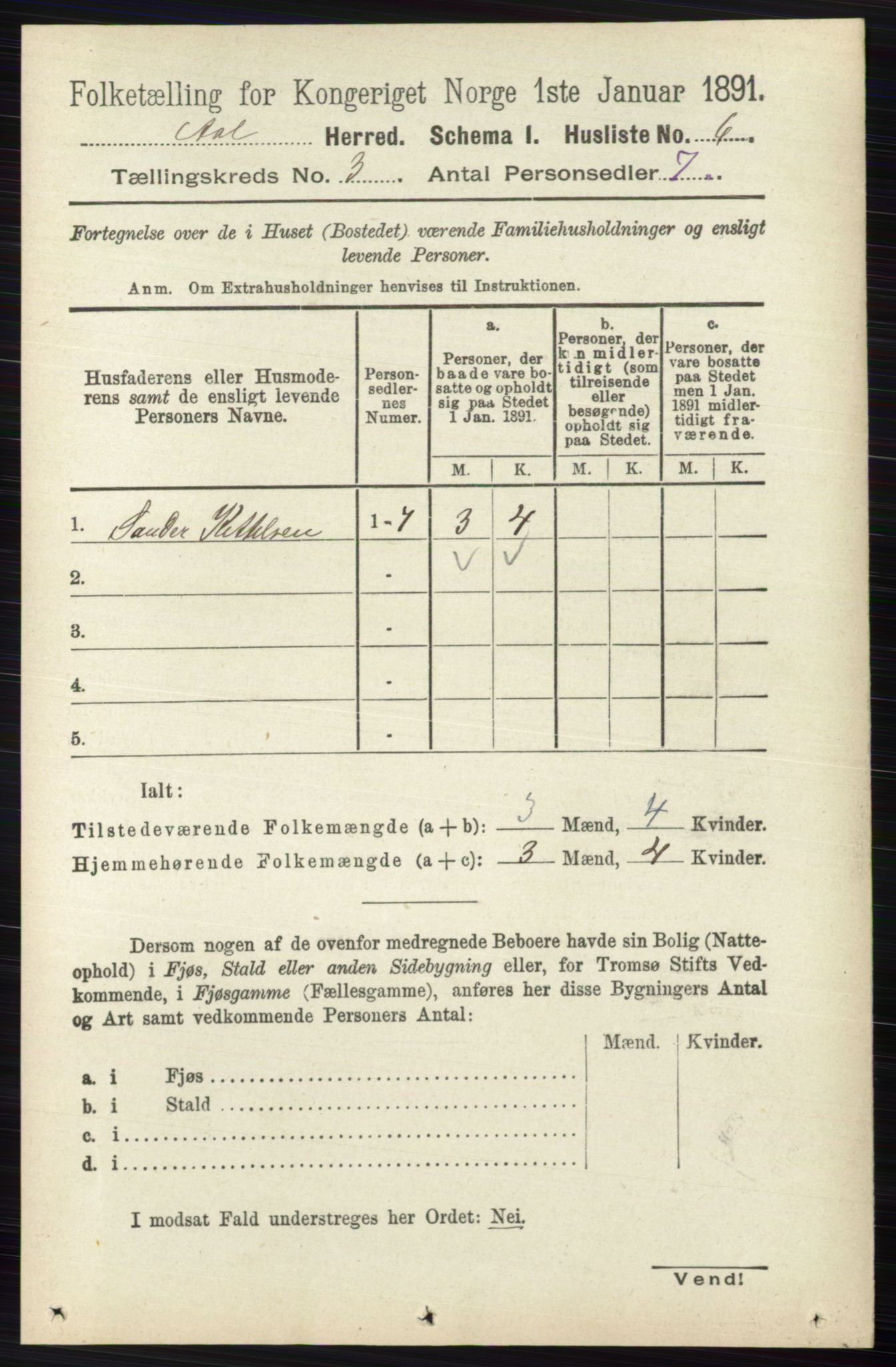 RA, 1891 census for 0619 Ål, 1891, p. 600