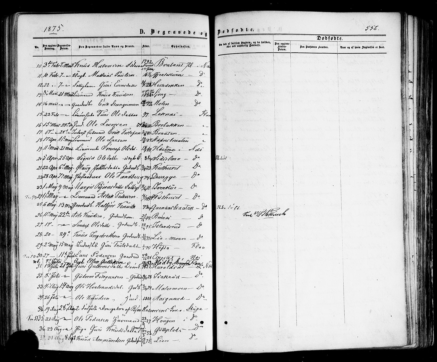 Nes kirkebøker, AV/SAKO-A-236/F/Fa/L0010: Parish register (official) no. 10, 1864-1880, p. 556