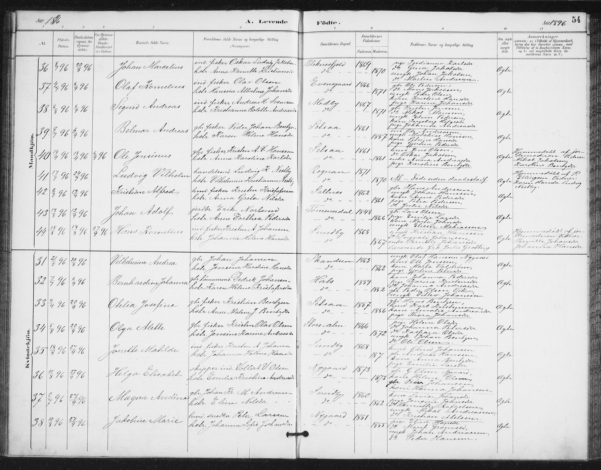 Ministerialprotokoller, klokkerbøker og fødselsregistre - Nordland, AV/SAT-A-1459/847/L0682: Parish register (copy) no. 847C10, 1889-1907, p. 54