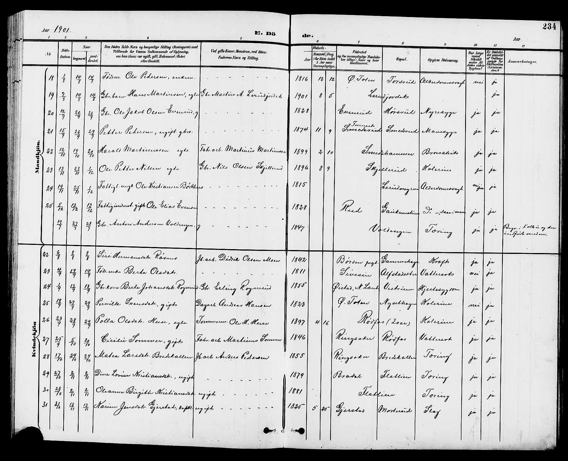 Vestre Toten prestekontor, AV/SAH-PREST-108/H/Ha/Hab/L0010: Parish register (copy) no. 10, 1900-1912, p. 234