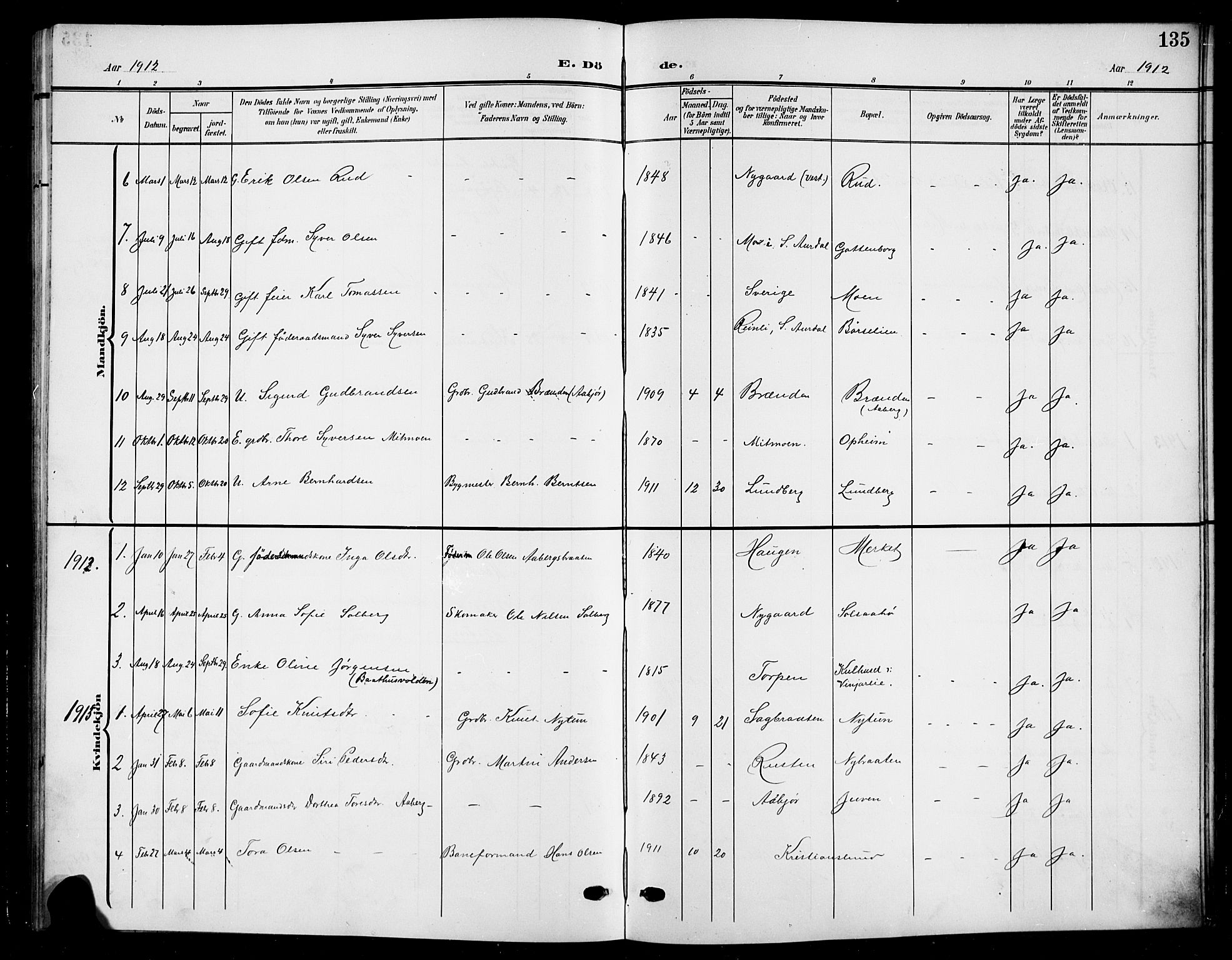 Nord-Aurdal prestekontor, SAH/PREST-132/H/Ha/Hab/L0012: Parish register (copy) no. 12, 1907-1920, p. 135