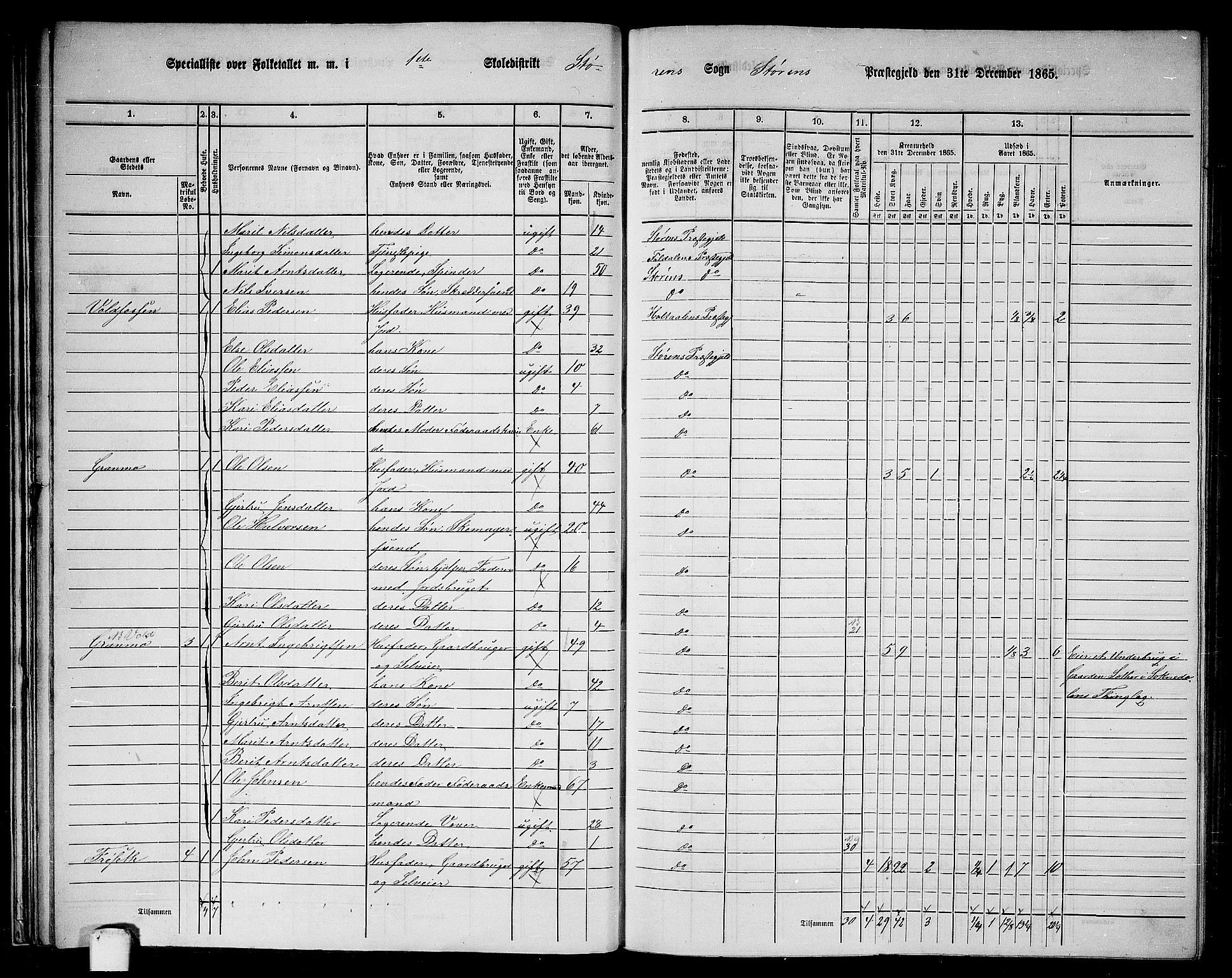 RA, 1865 census for Støren, 1865, p. 29