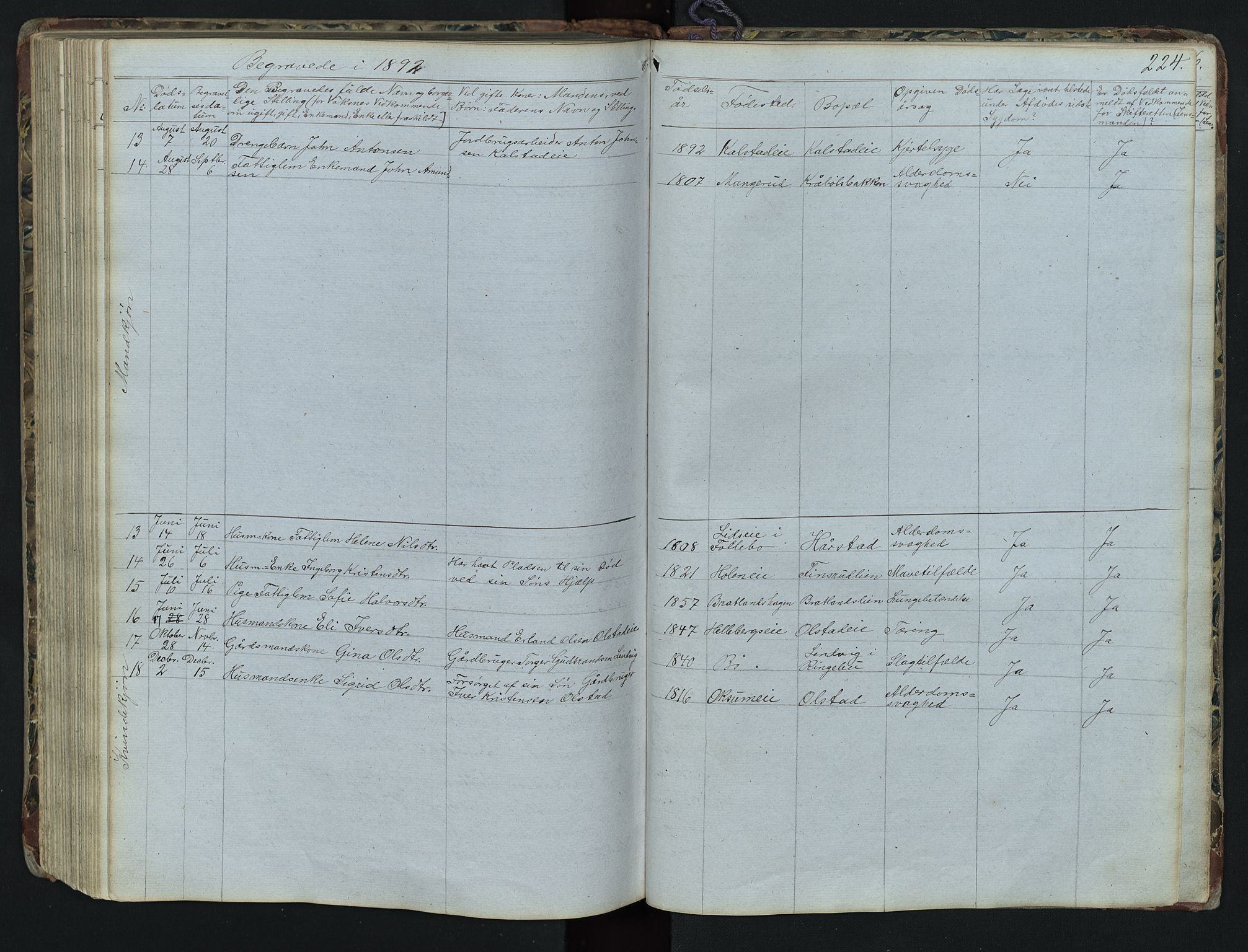 Vestre Gausdal prestekontor, SAH/PREST-094/H/Ha/Hab/L0001: Parish register (copy) no. 1, 1867-1895, p. 224