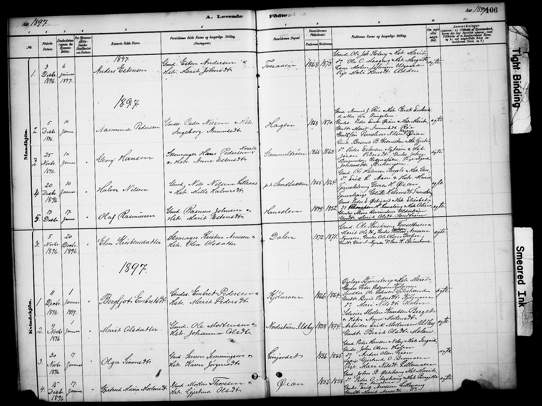Tynset prestekontor, SAH/PREST-058/H/Ha/Hab/L0006: Parish register (copy) no. 6, 1880-1899, p. 106