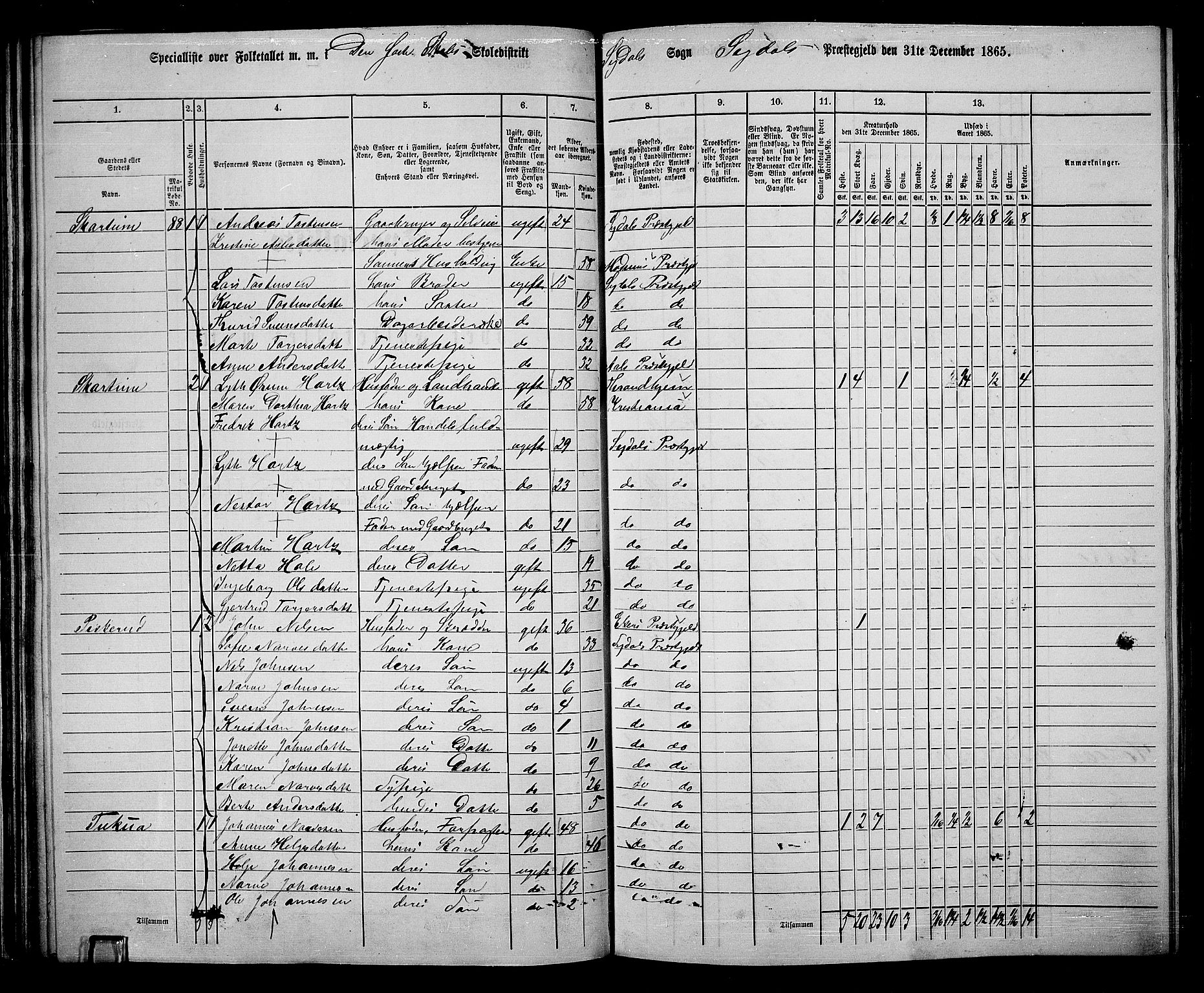 RA, 1865 census for Sigdal, 1865, p. 72