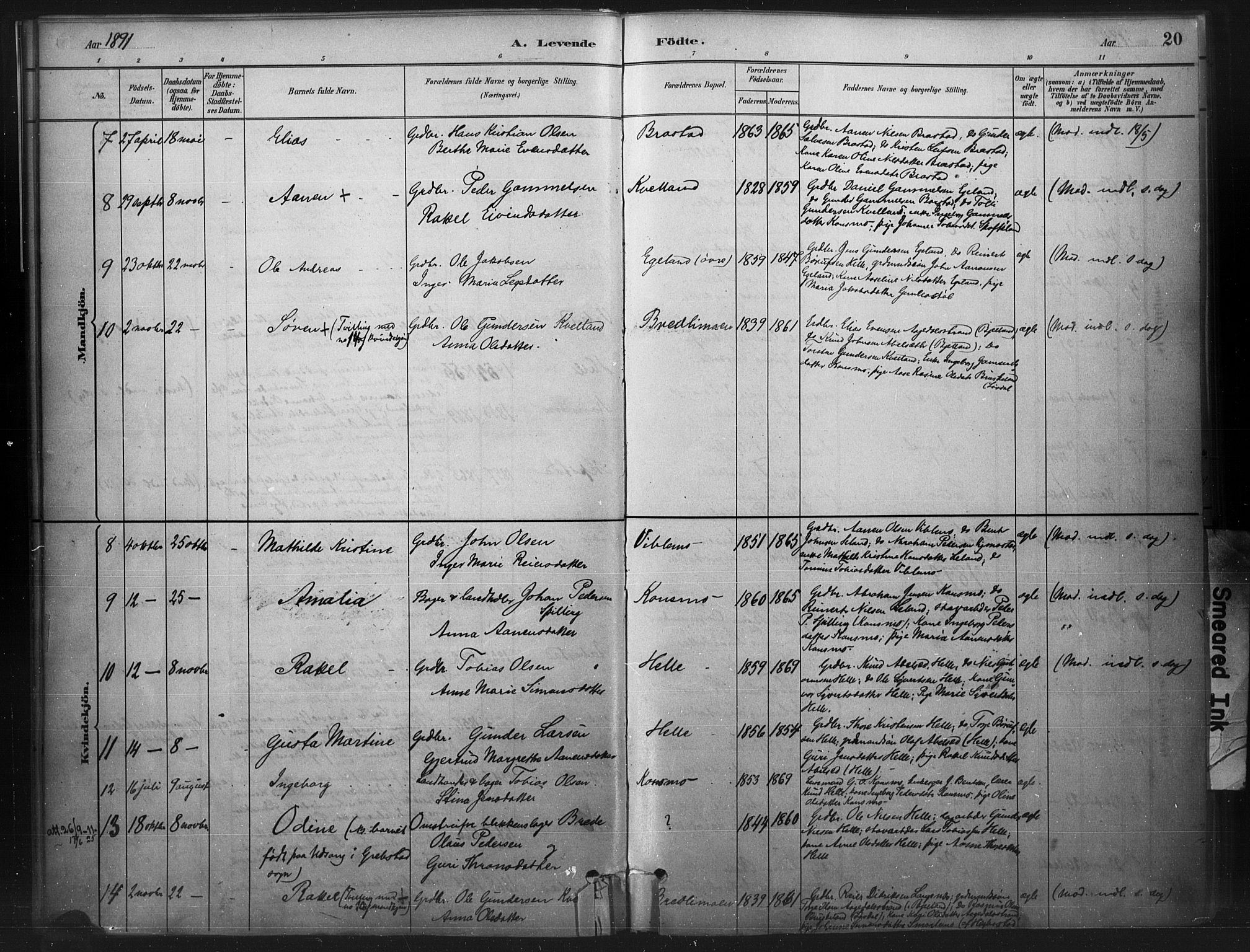 Nord-Audnedal sokneprestkontor, SAK/1111-0032/F/Fa/Faa/L0003: Parish register (official) no. A 3, 1882-1900, p. 20