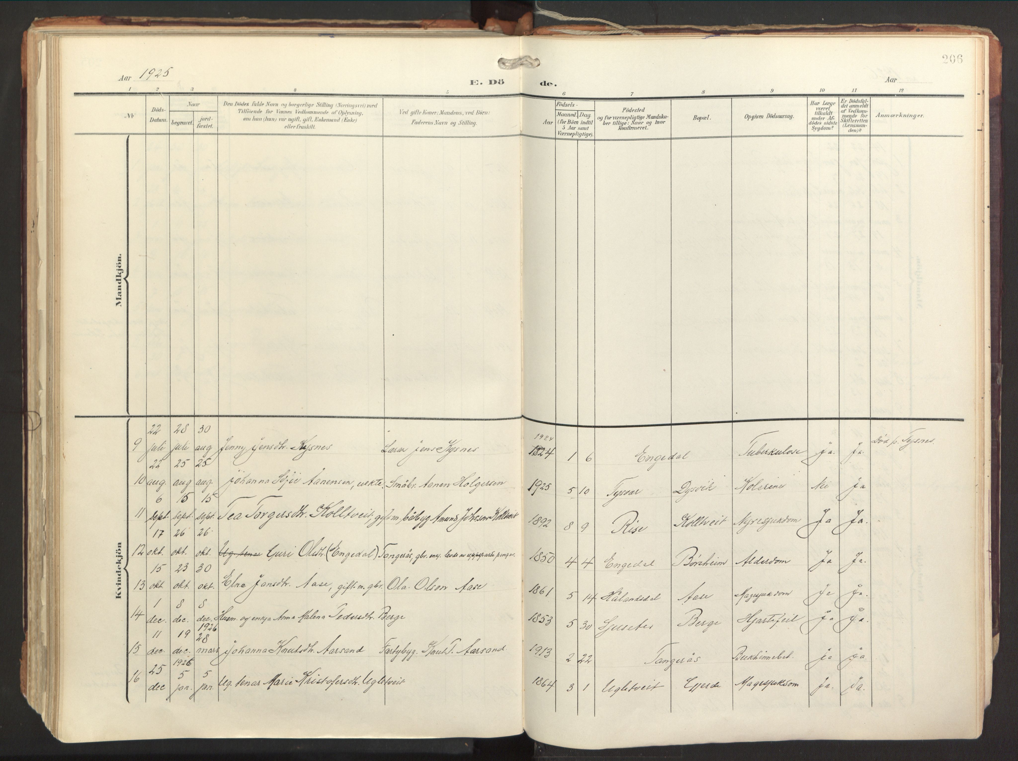 Strandebarm sokneprestembete, AV/SAB-A-78401/H/Haa: Parish register (official) no. B 2, 1909-1941, p. 206