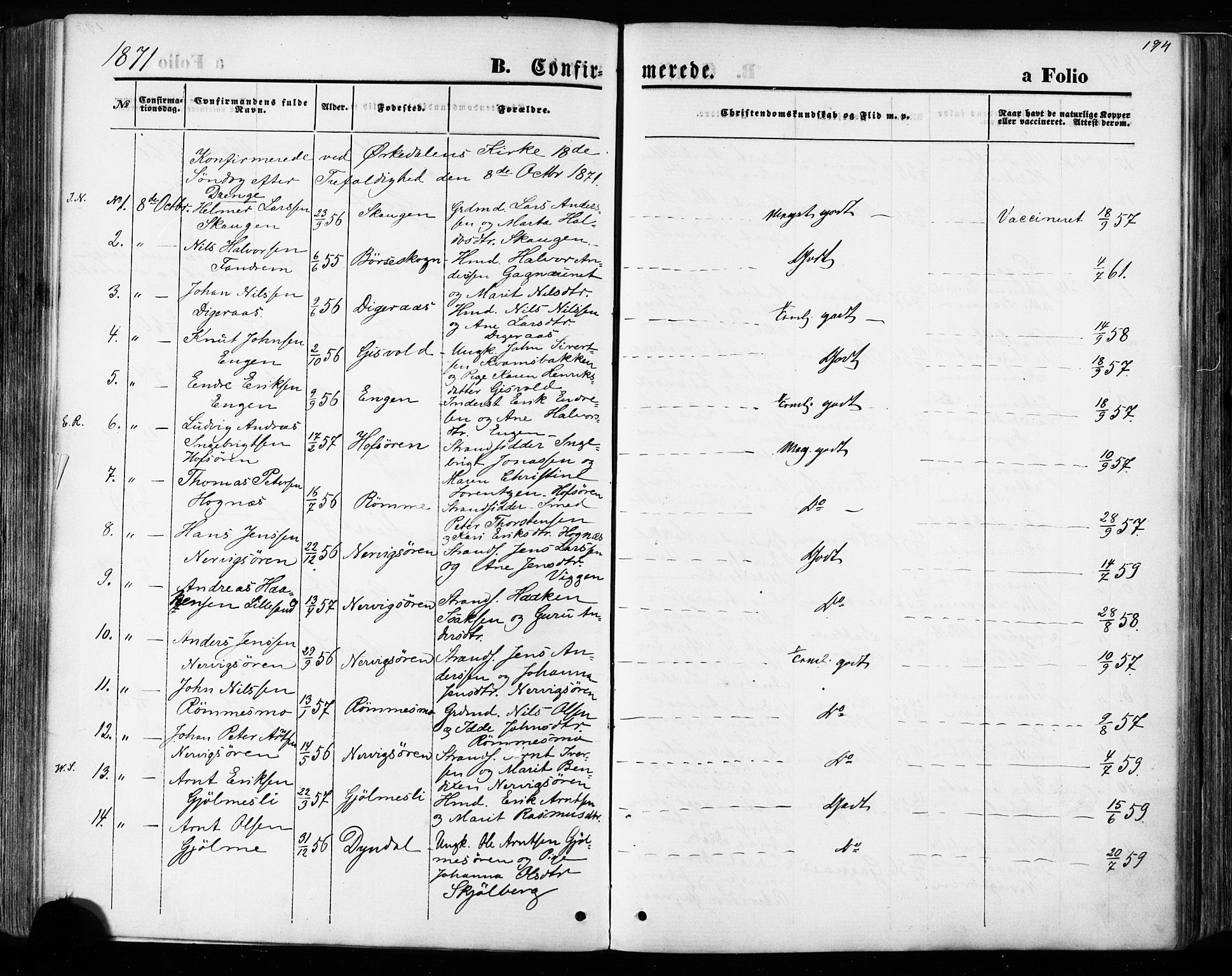 Ministerialprotokoller, klokkerbøker og fødselsregistre - Sør-Trøndelag, AV/SAT-A-1456/668/L0807: Parish register (official) no. 668A07, 1870-1880, p. 194