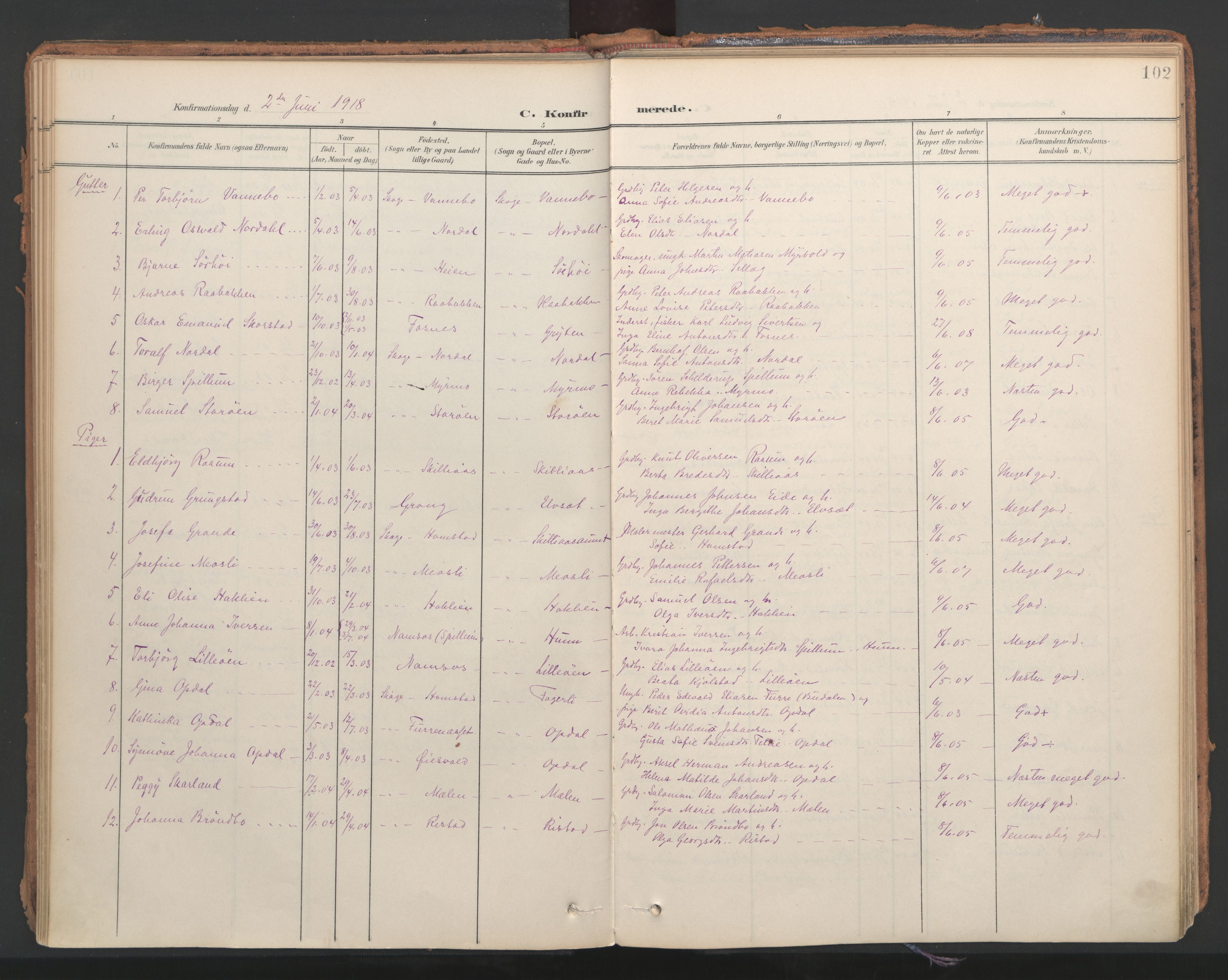 Ministerialprotokoller, klokkerbøker og fødselsregistre - Nord-Trøndelag, SAT/A-1458/766/L0564: Parish register (official) no. 767A02, 1900-1932, p. 102