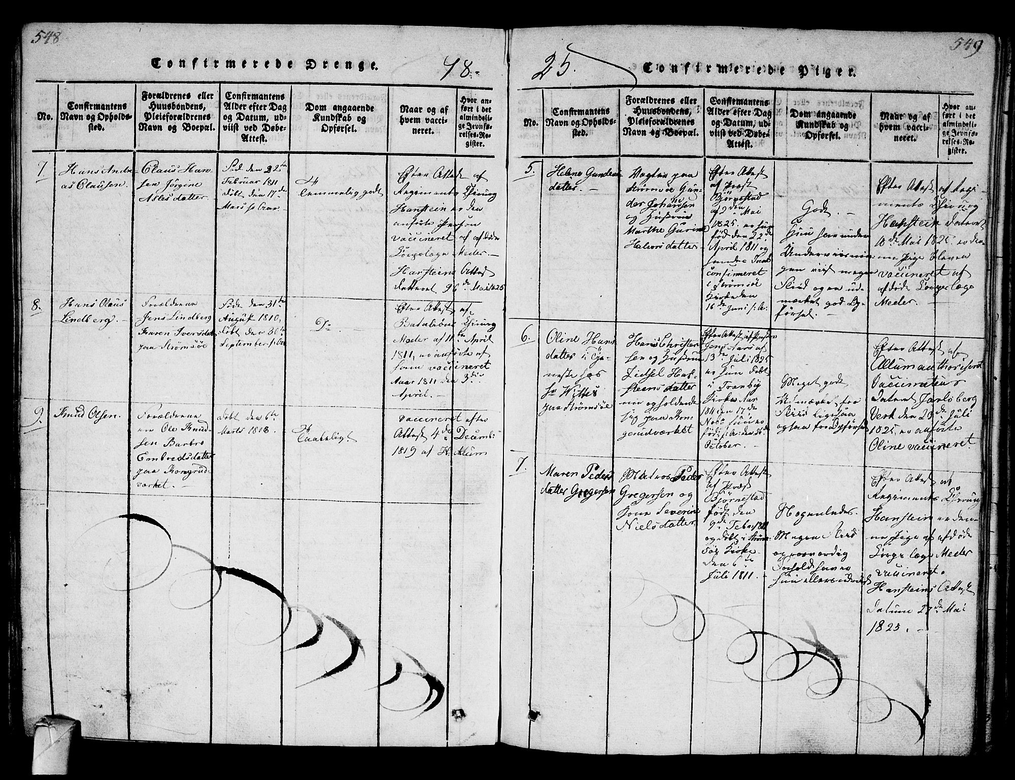 Strømsø kirkebøker, AV/SAKO-A-246/G/Ga/L0001: Parish register (copy) no. 1, 1815-1829, p. 548-549