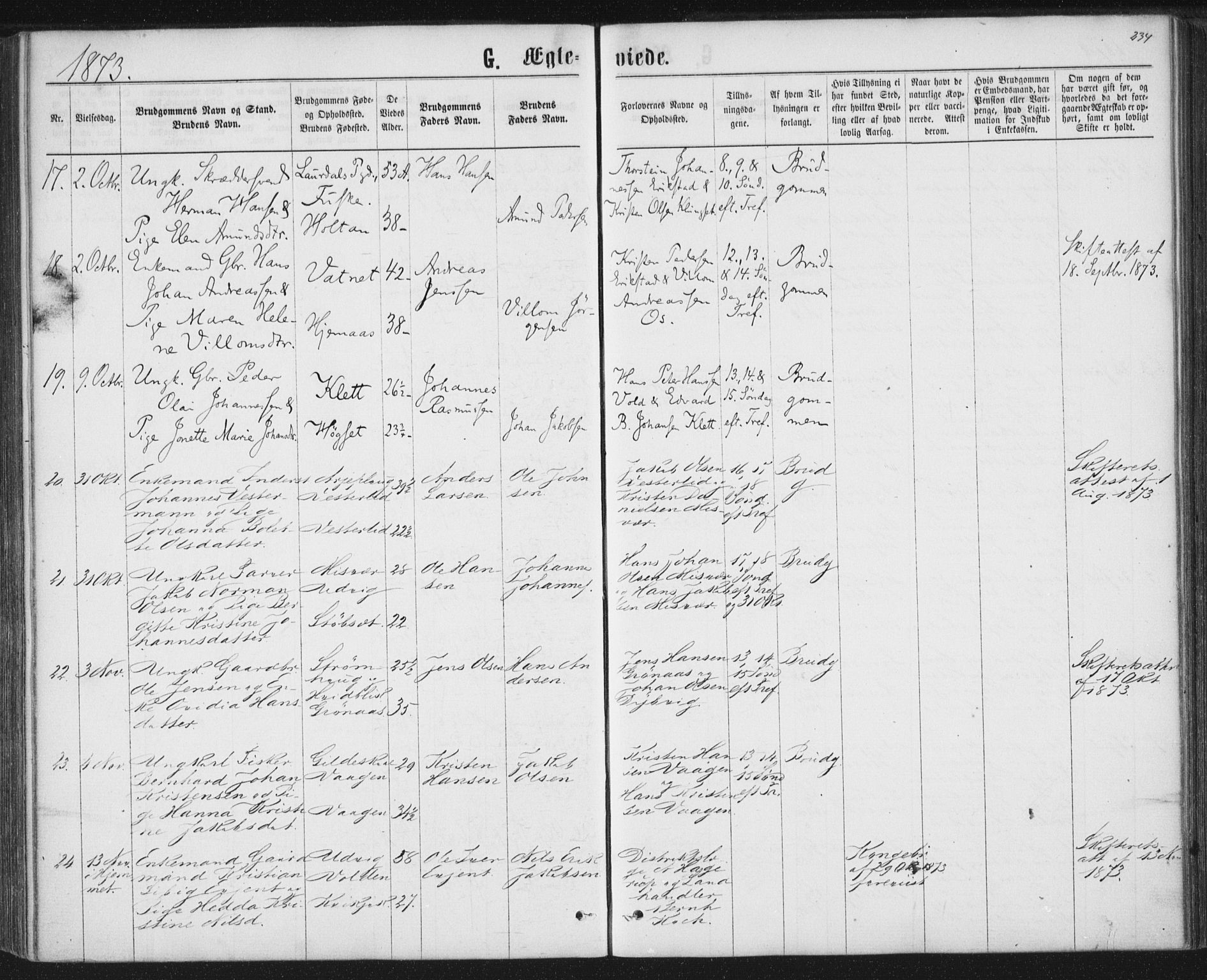 Ministerialprotokoller, klokkerbøker og fødselsregistre - Nordland, AV/SAT-A-1459/852/L0739: Parish register (official) no. 852A09, 1866-1877, p. 234