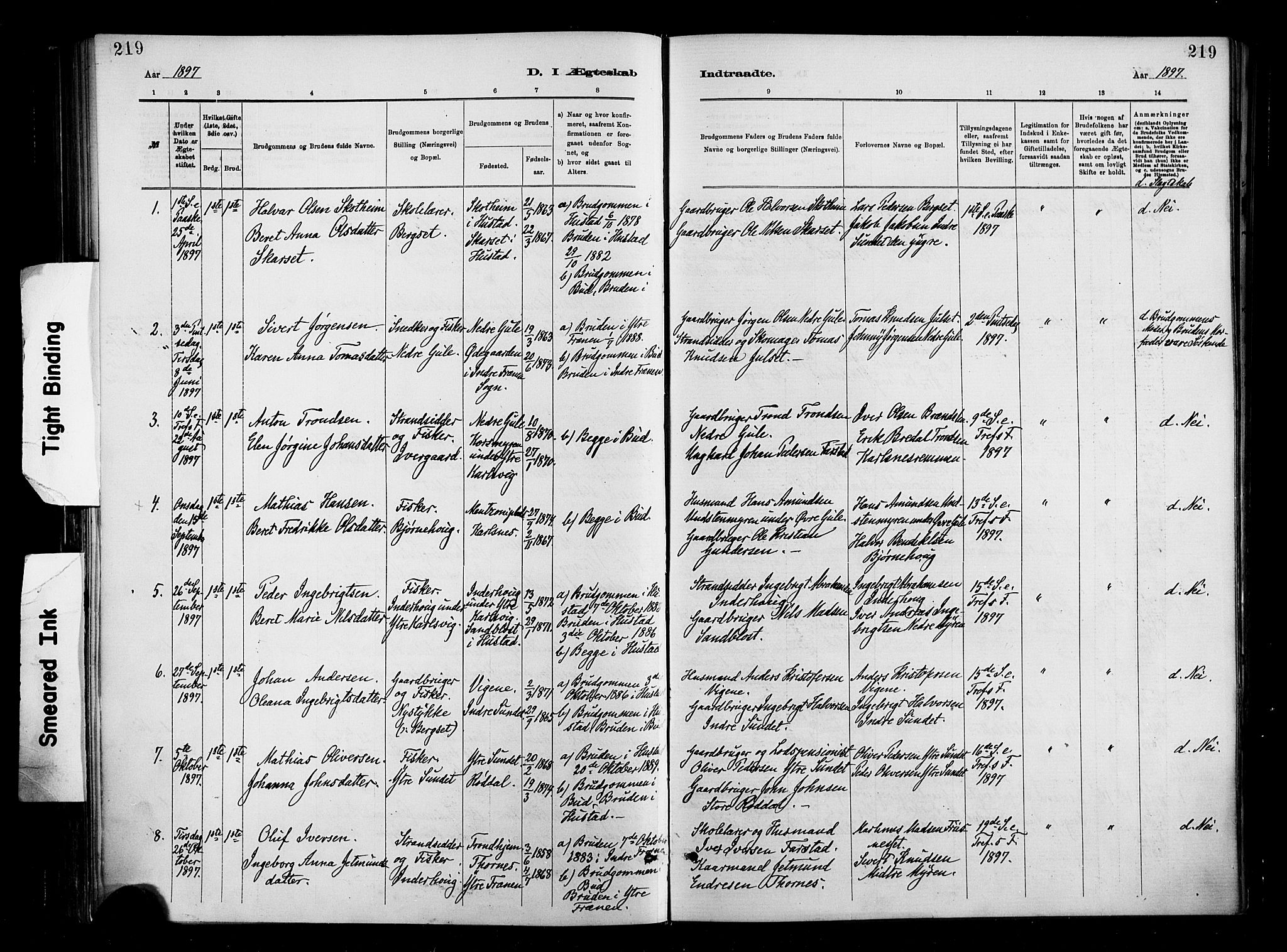 Ministerialprotokoller, klokkerbøker og fødselsregistre - Møre og Romsdal, AV/SAT-A-1454/566/L0769: Parish register (official) no. 566A08, 1881-1903, p. 219