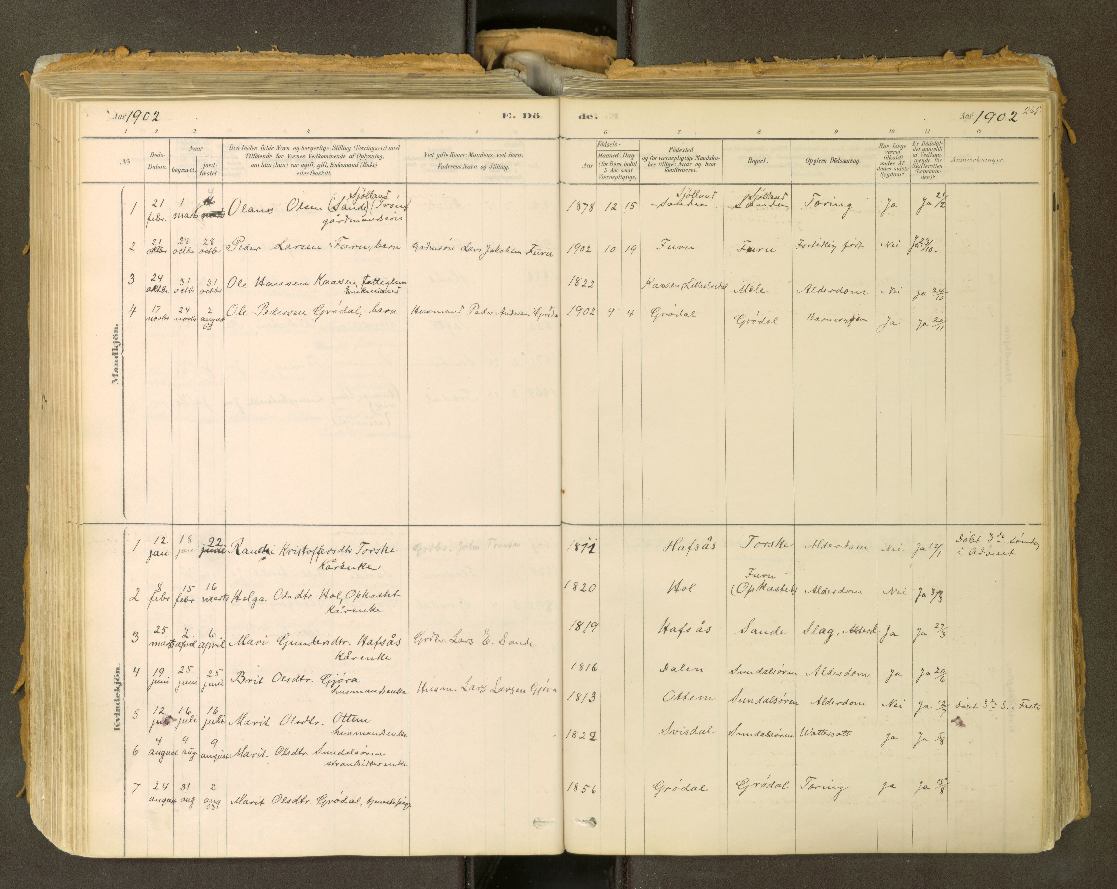Sunndal sokneprestkontor, SAT/A-1085/1/I/I1/I1a: Parish register (official) no. 2, 1877-1914, p. 265