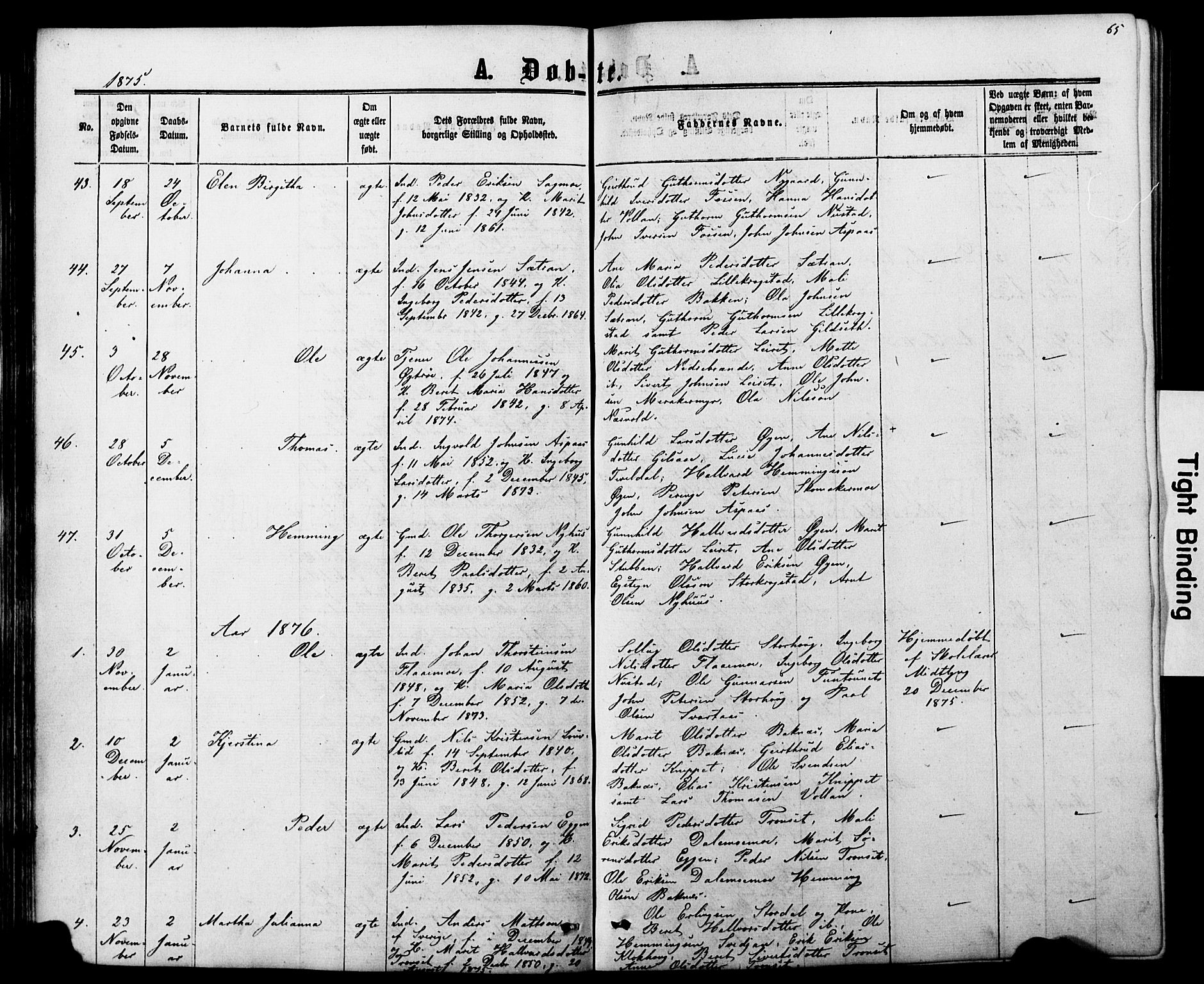 Ministerialprotokoller, klokkerbøker og fødselsregistre - Nord-Trøndelag, SAT/A-1458/706/L0049: Parish register (copy) no. 706C01, 1864-1895, p. 65