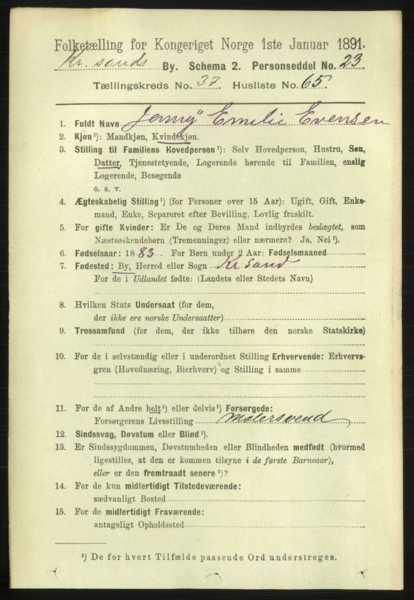 RA, 1891 census for 1001 Kristiansand, 1891, p. 12163