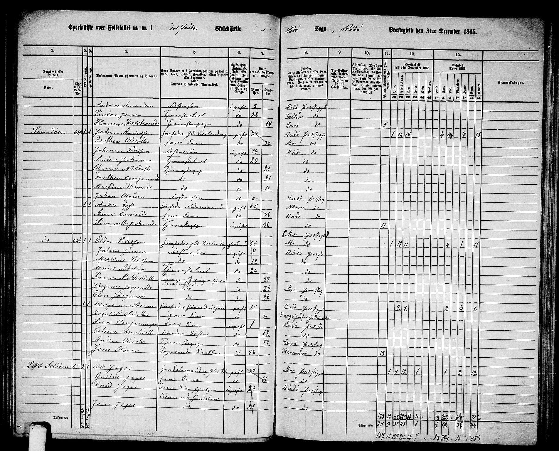 RA, 1865 census for Rødøy, 1865, p. 12