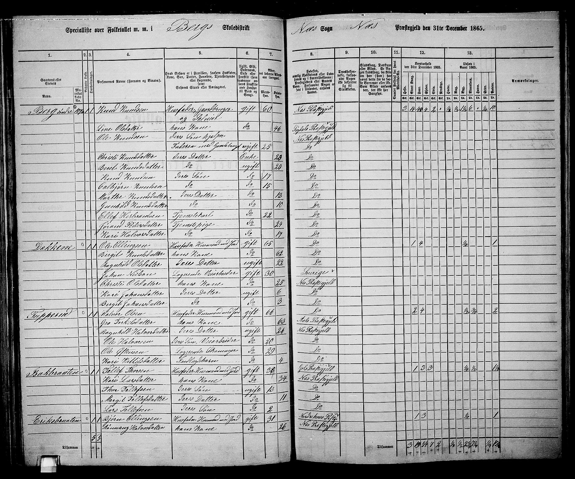 RA, 1865 census for Nes, 1865, p. 92