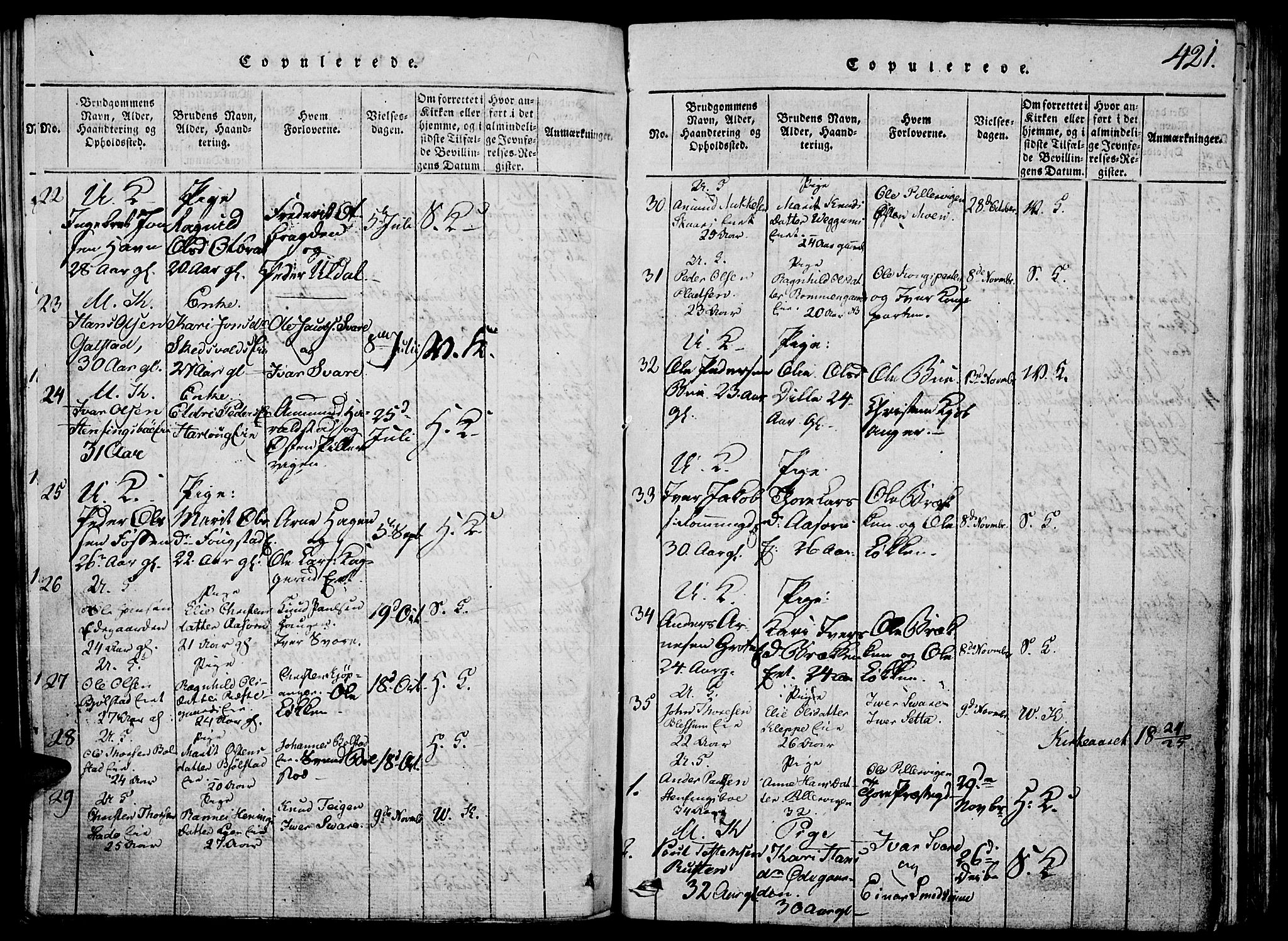 Vågå prestekontor, SAH/PREST-076/H/Ha/Hab/L0001: Parish register (copy) no. 1, 1815-1827, p. 420-421