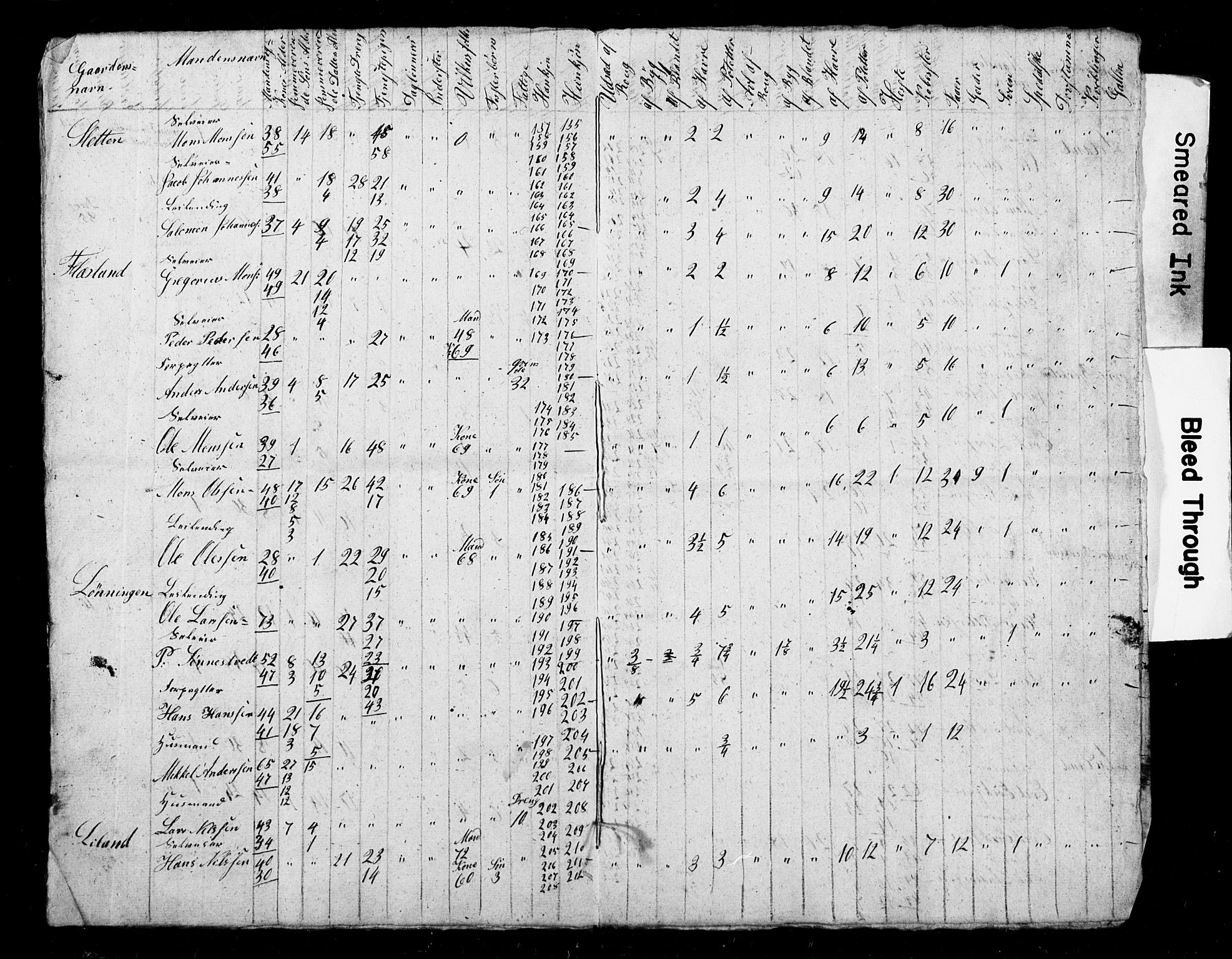 , Census 1845 for Fana, 1845, p. 19