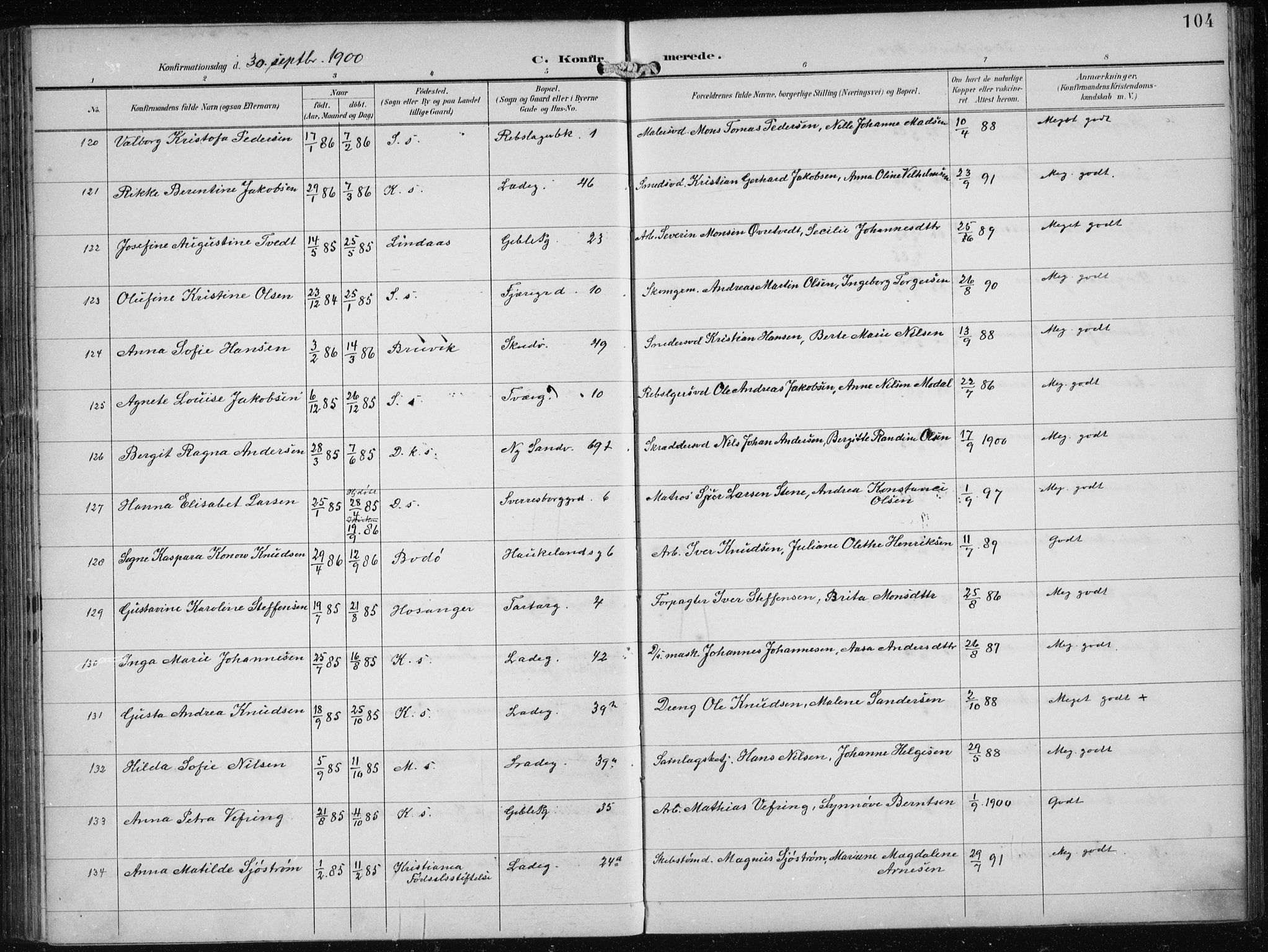 Sandviken Sokneprestembete, AV/SAB-A-77601/H/Ha/L0010: Parish register (official) no. C 1, 1895-1905, p. 104