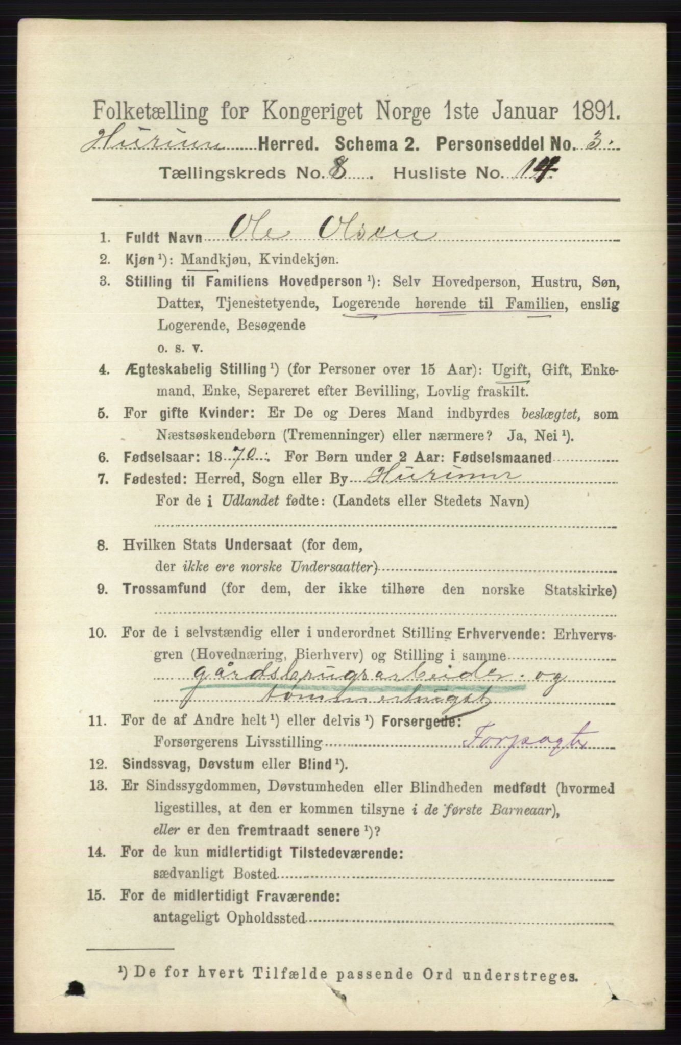 RA, 1891 census for 0628 Hurum, 1891, p. 2725